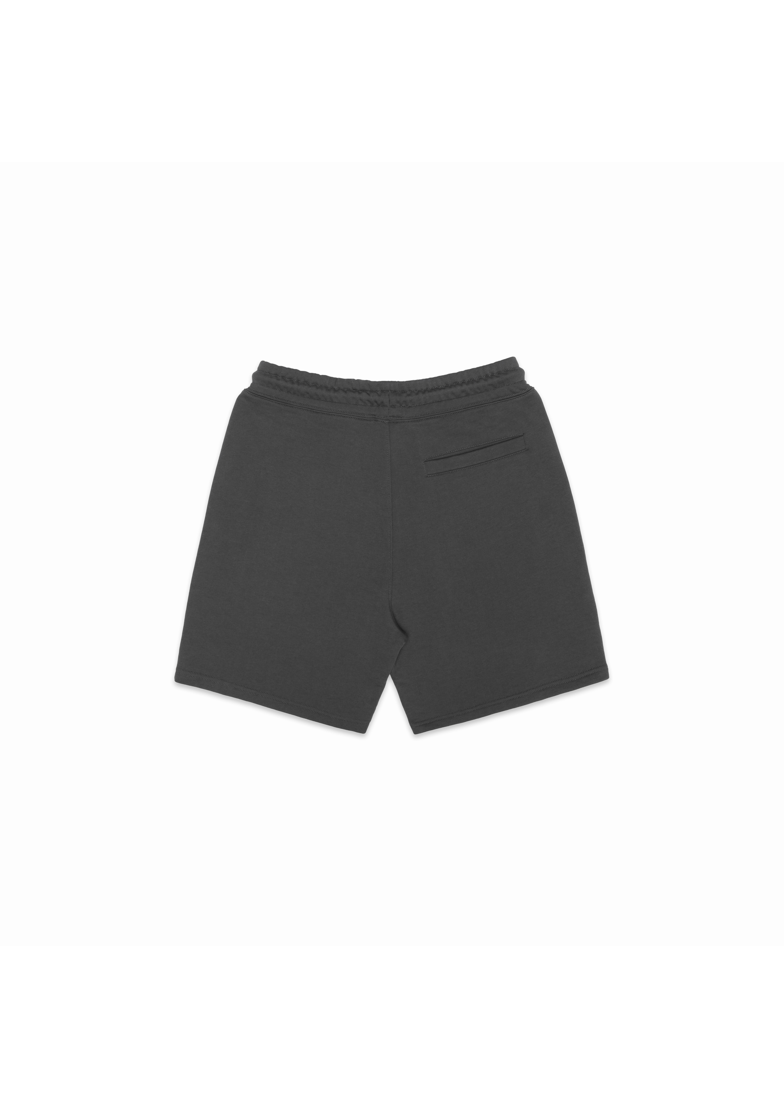 ACF SLATE SHORT BACK$.png