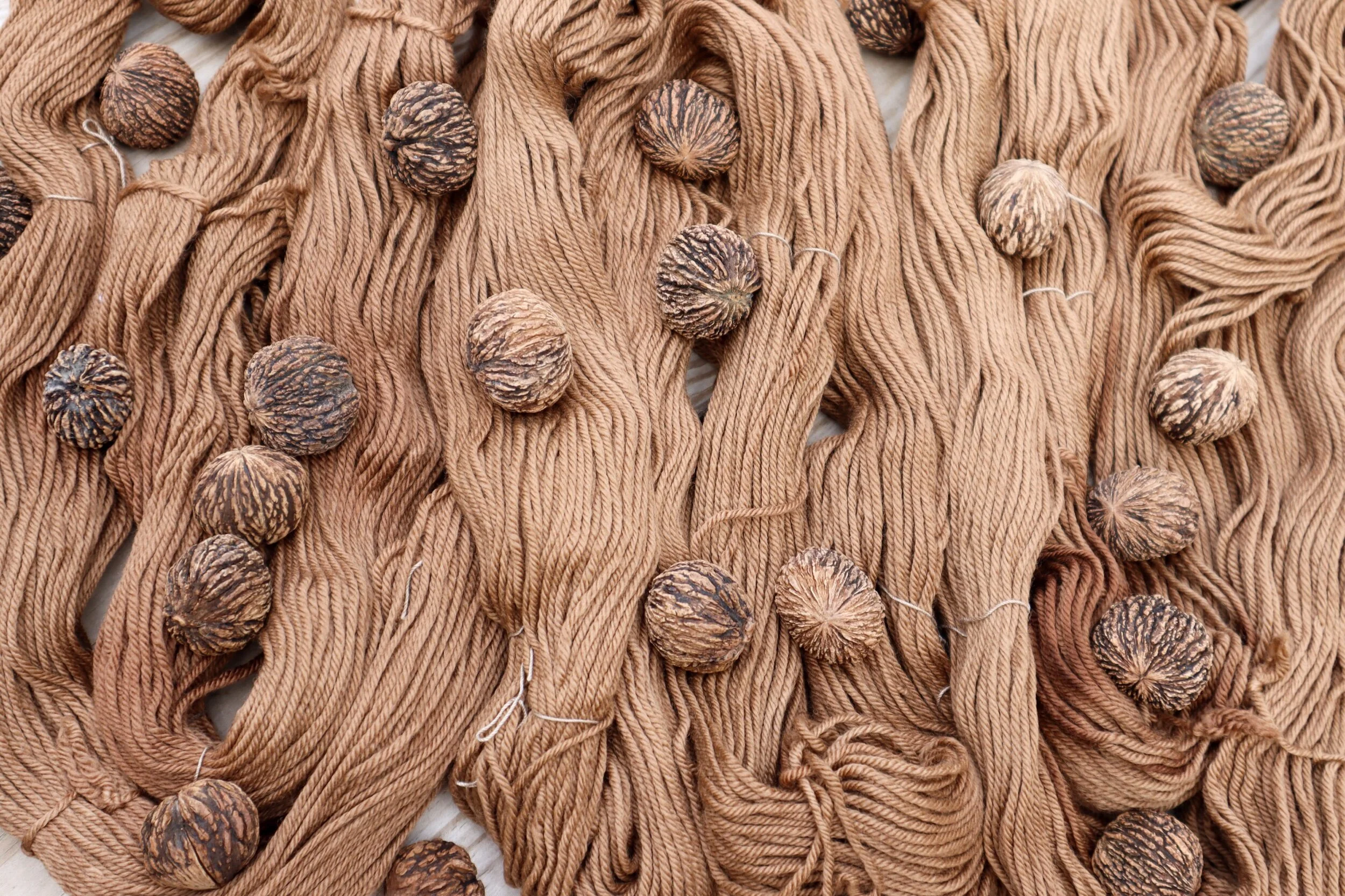 black walnut worsted