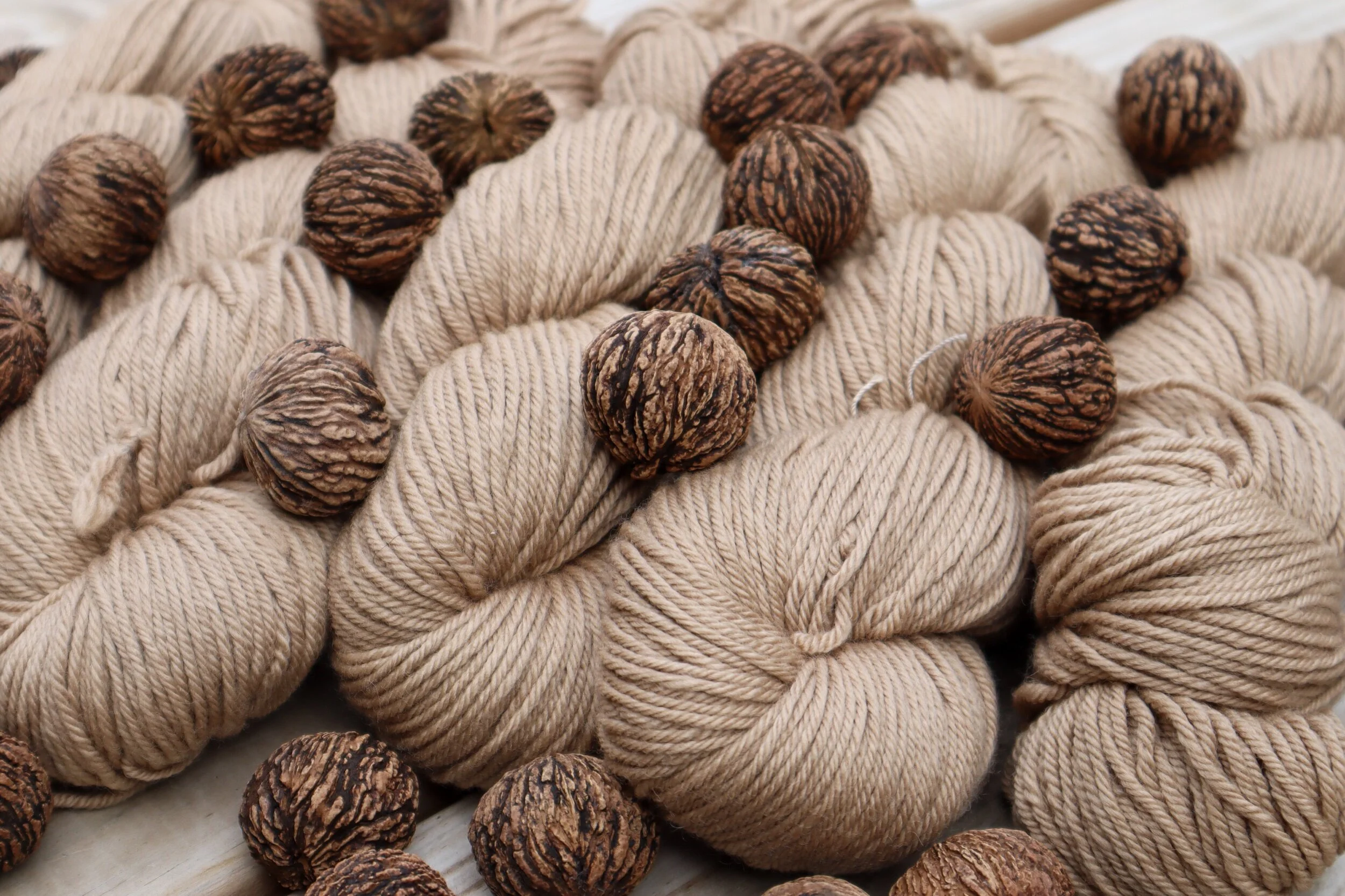 black walnut worsted