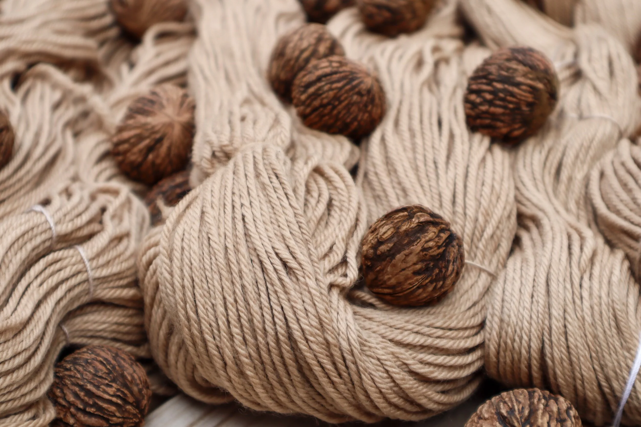 black walnut worsted