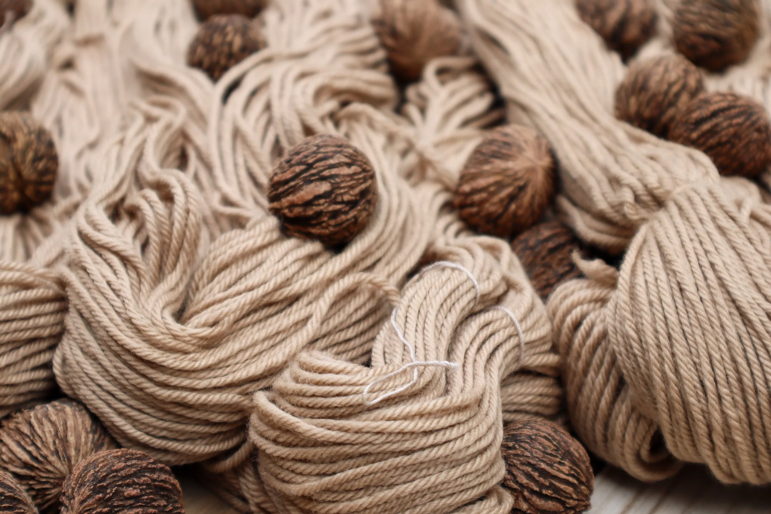 black walnut worsted