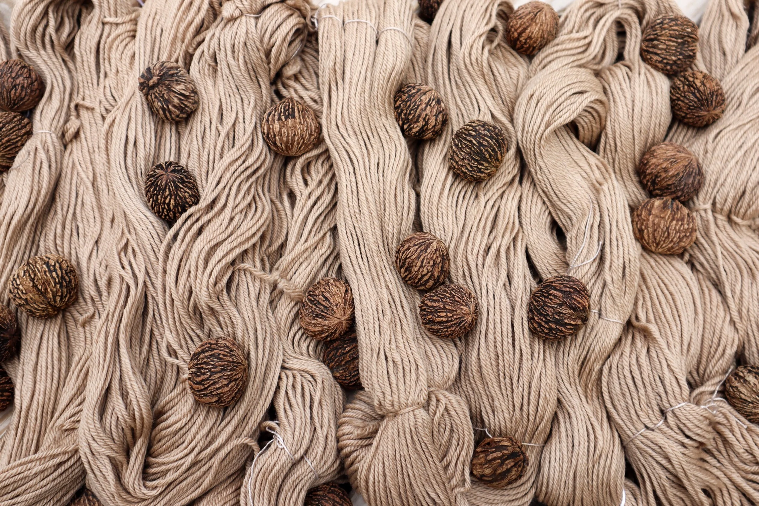 black walnut worsted