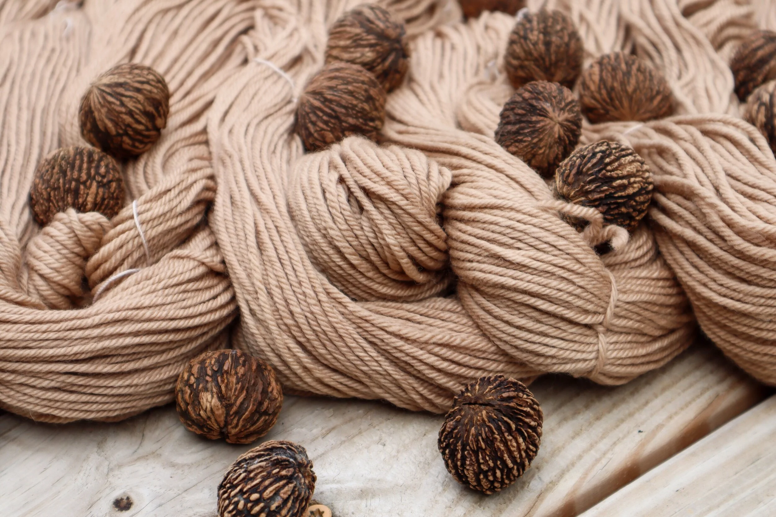 black walnut worsted