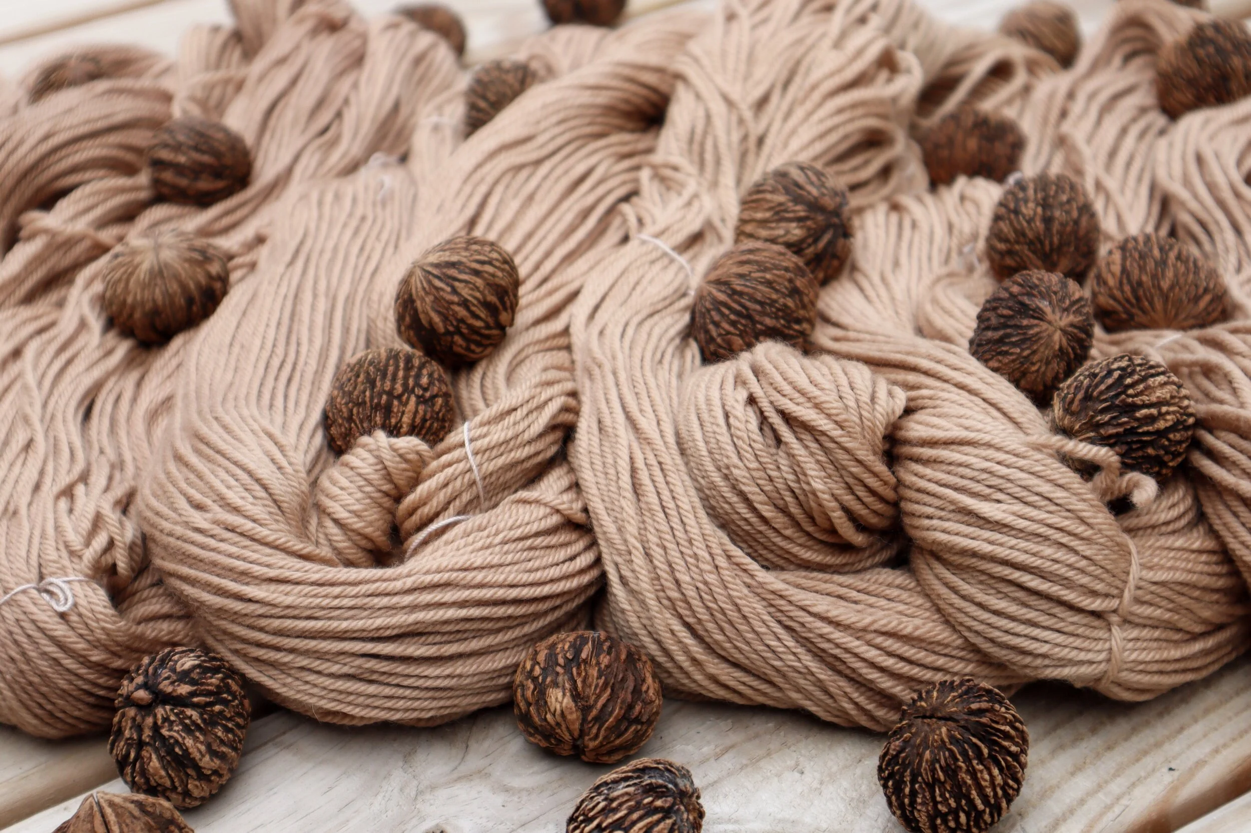black walnut worsted