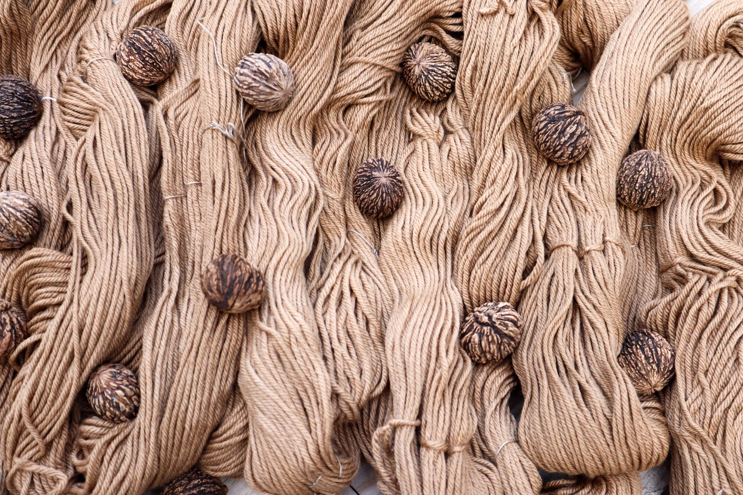 black walnut worsted