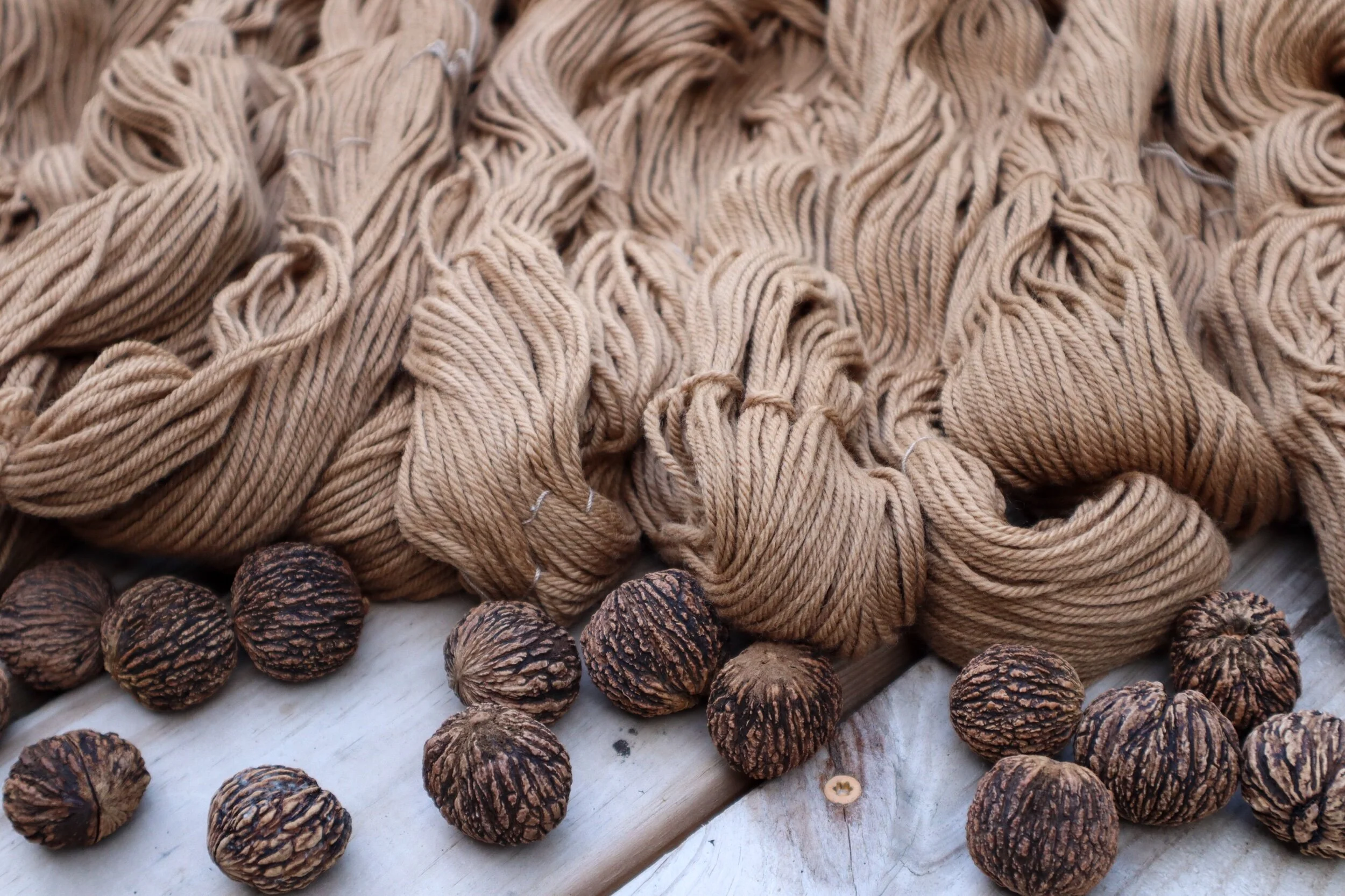 black walnut worsted