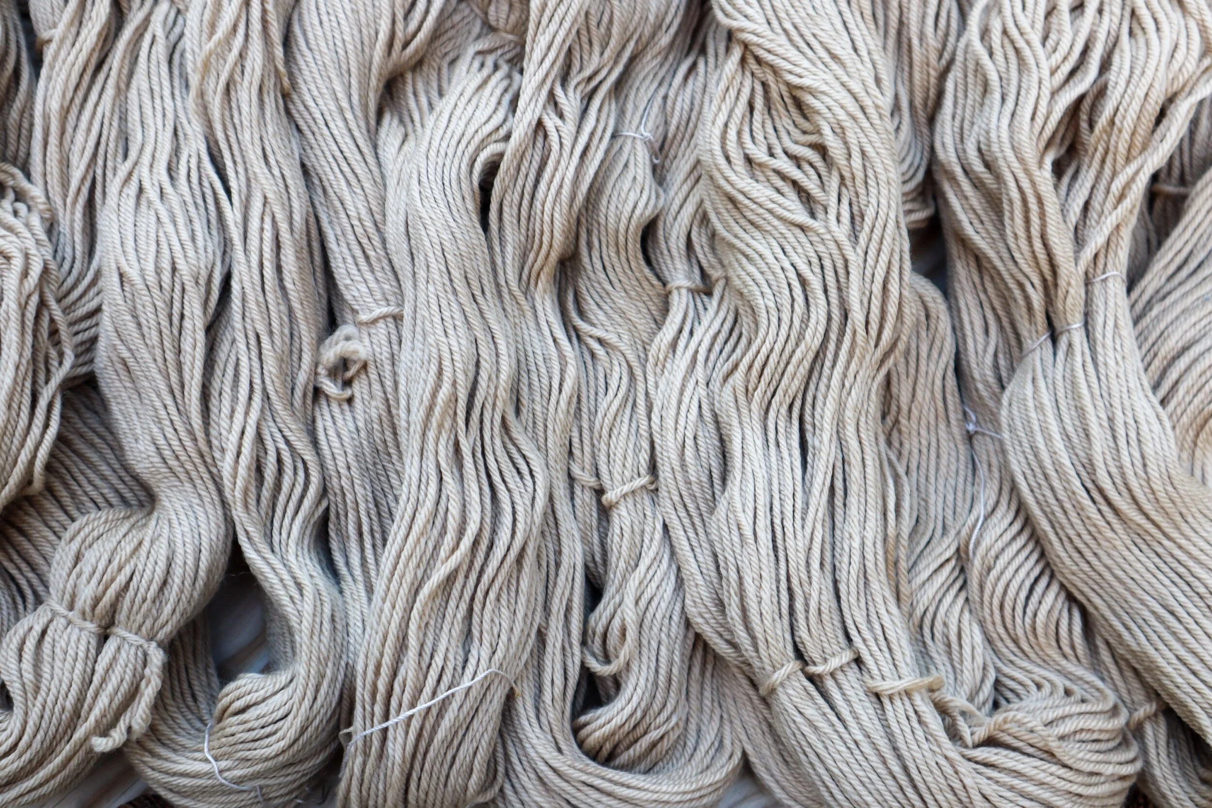 black walnut worsted