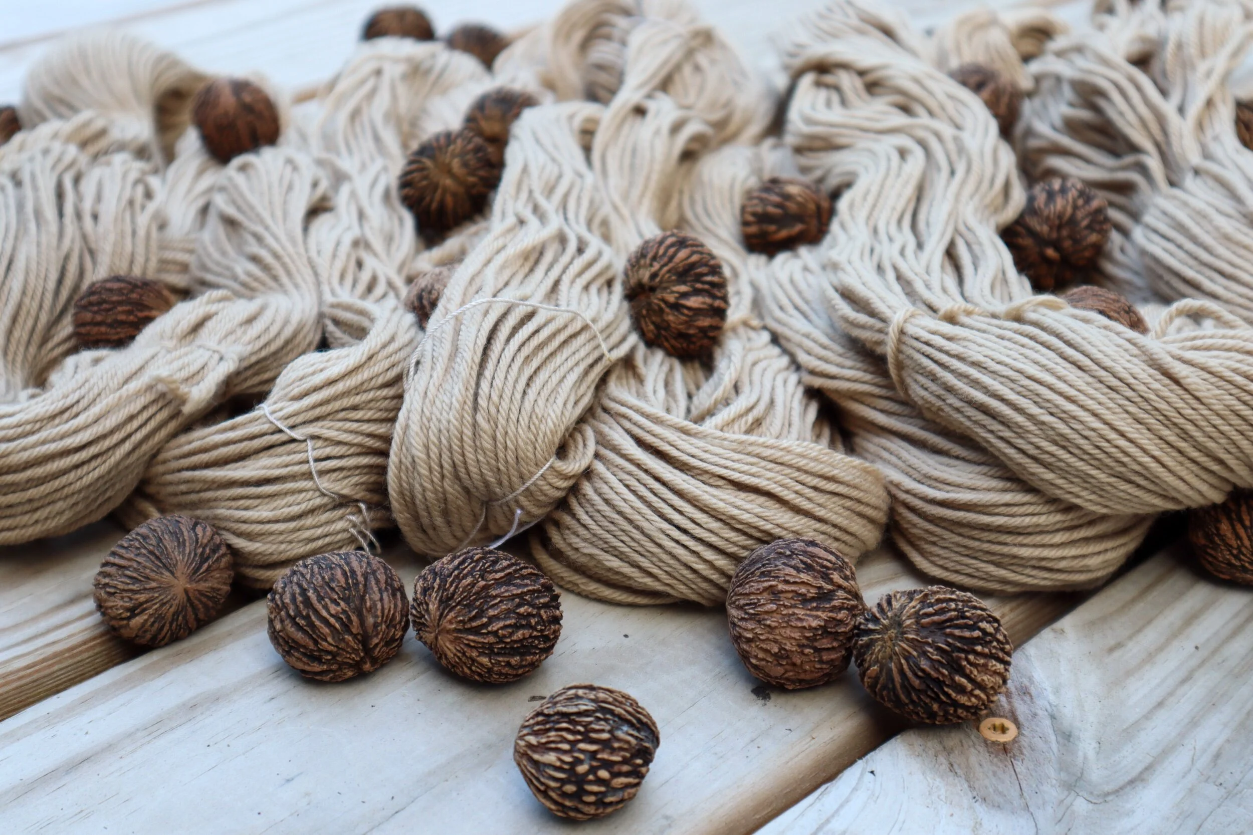 black walnut worsted