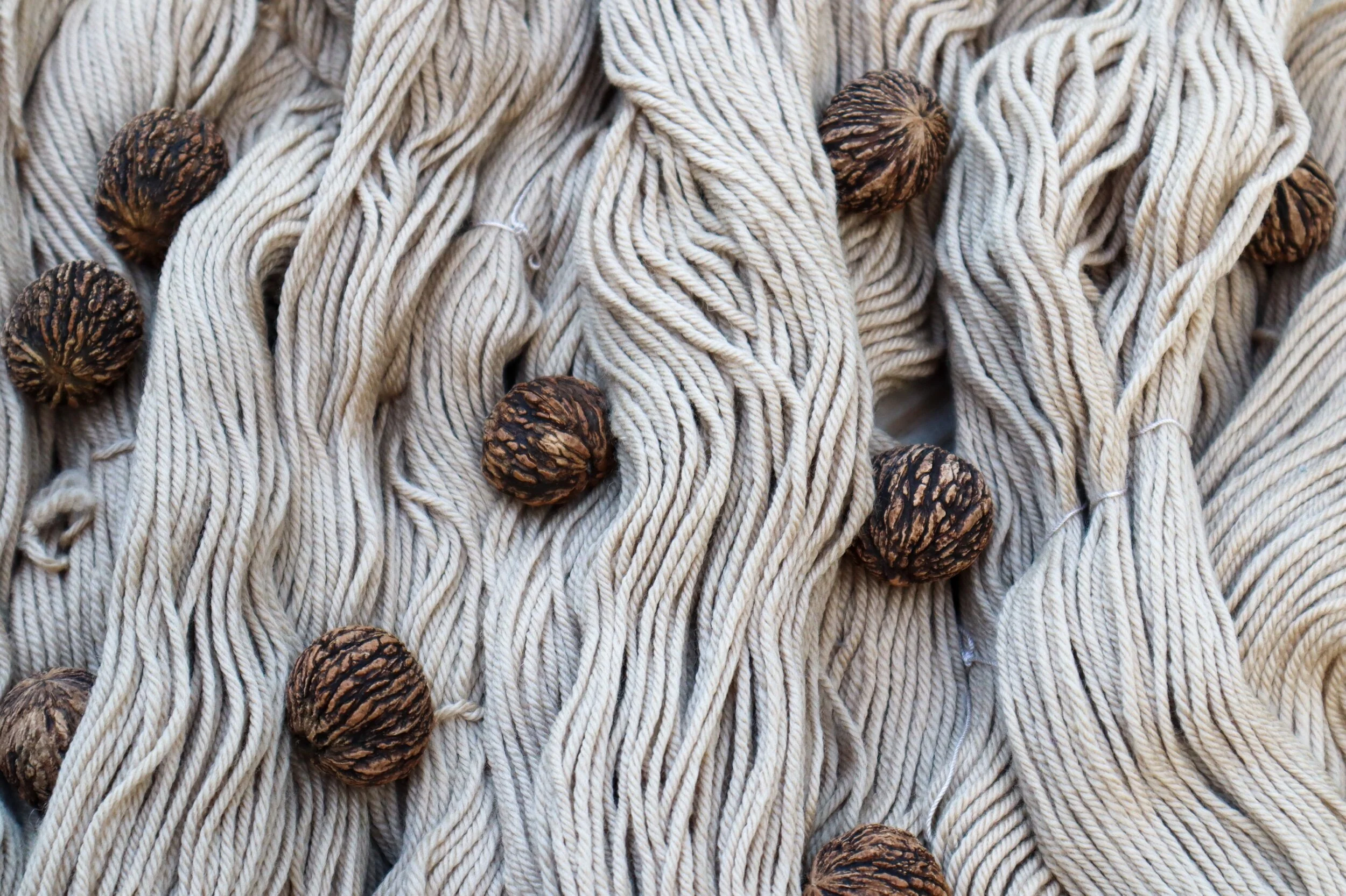 black walnut worsted