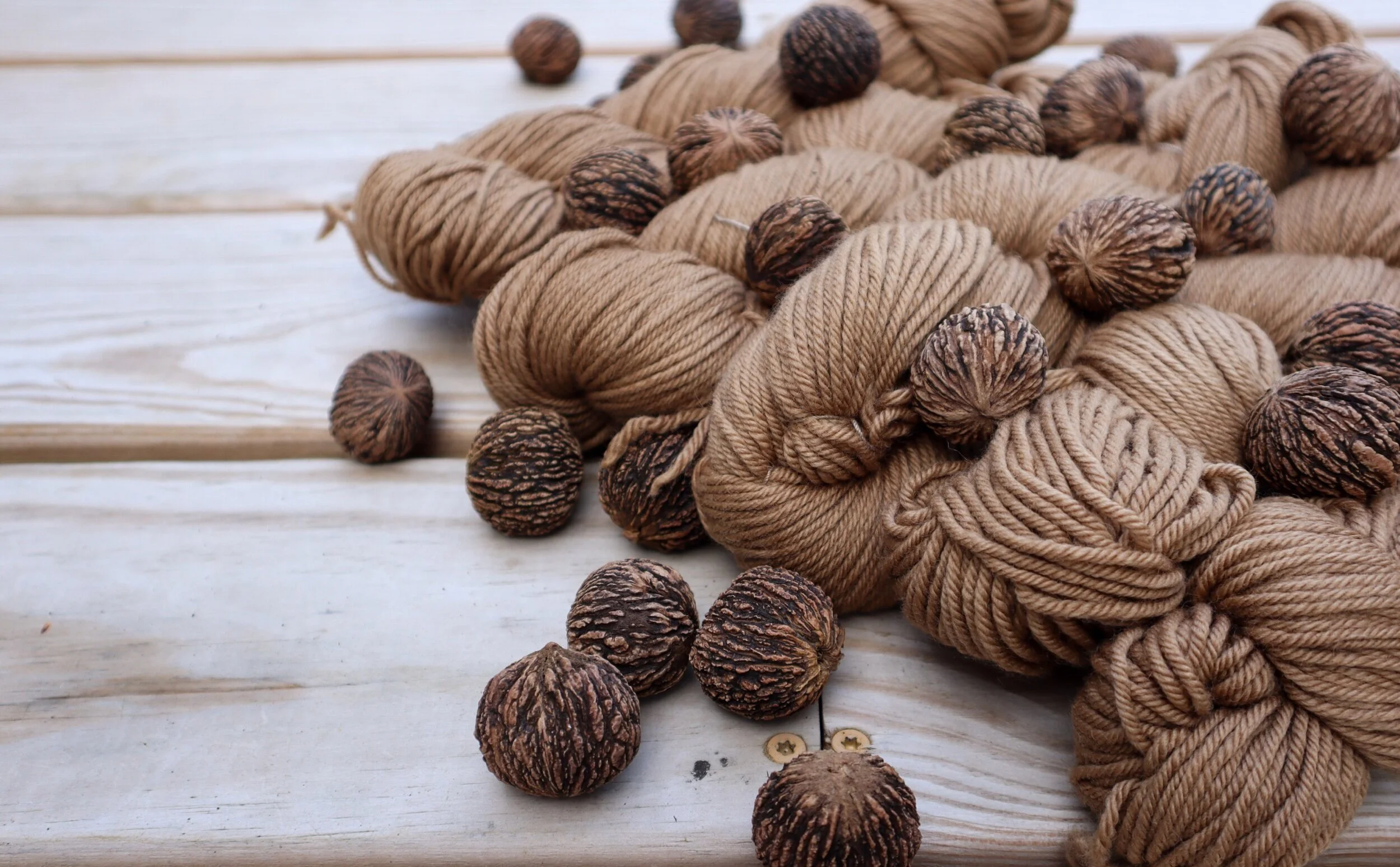 black walnut worsted
