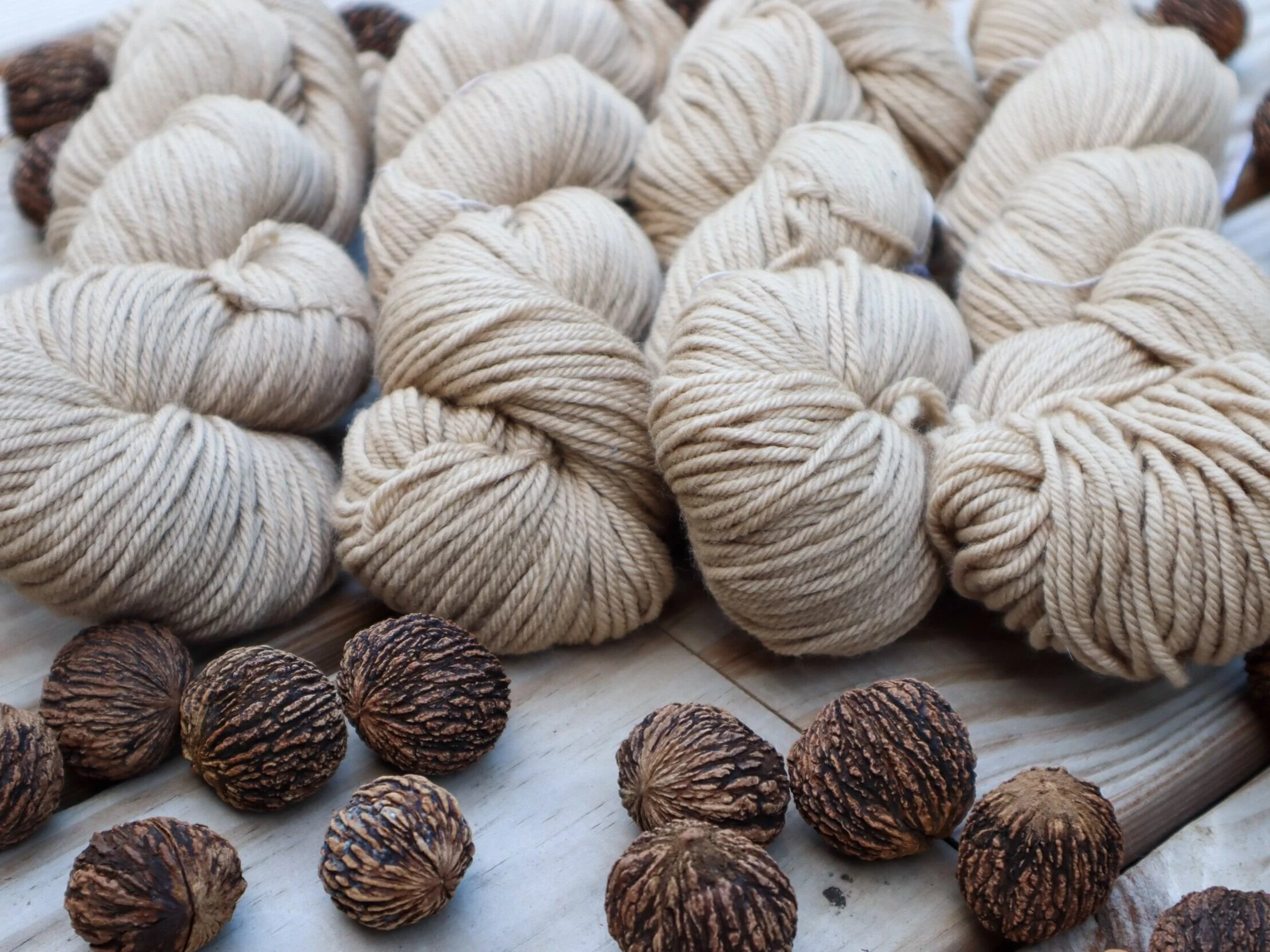 black walnut worsted