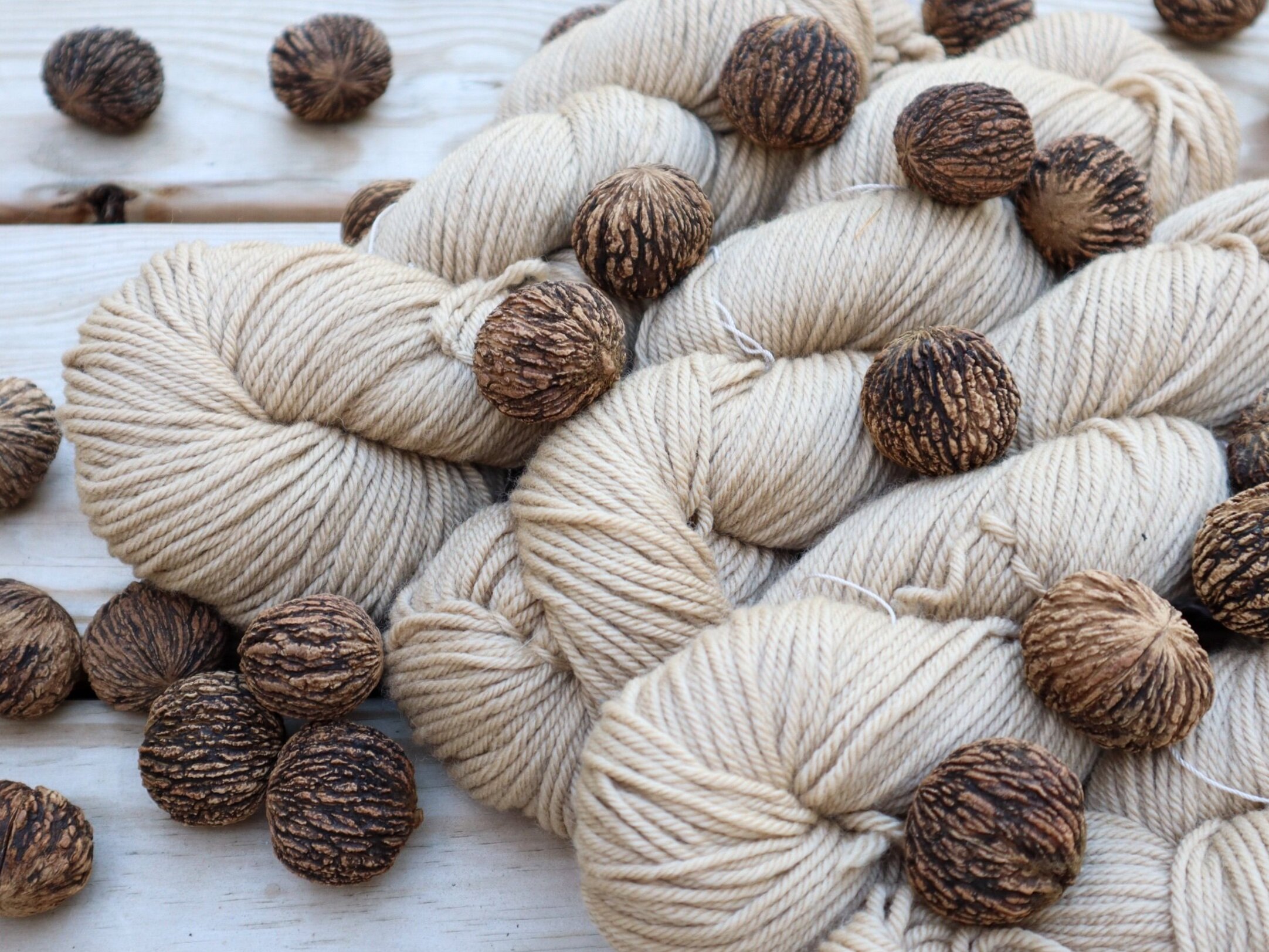 black walnut worsted