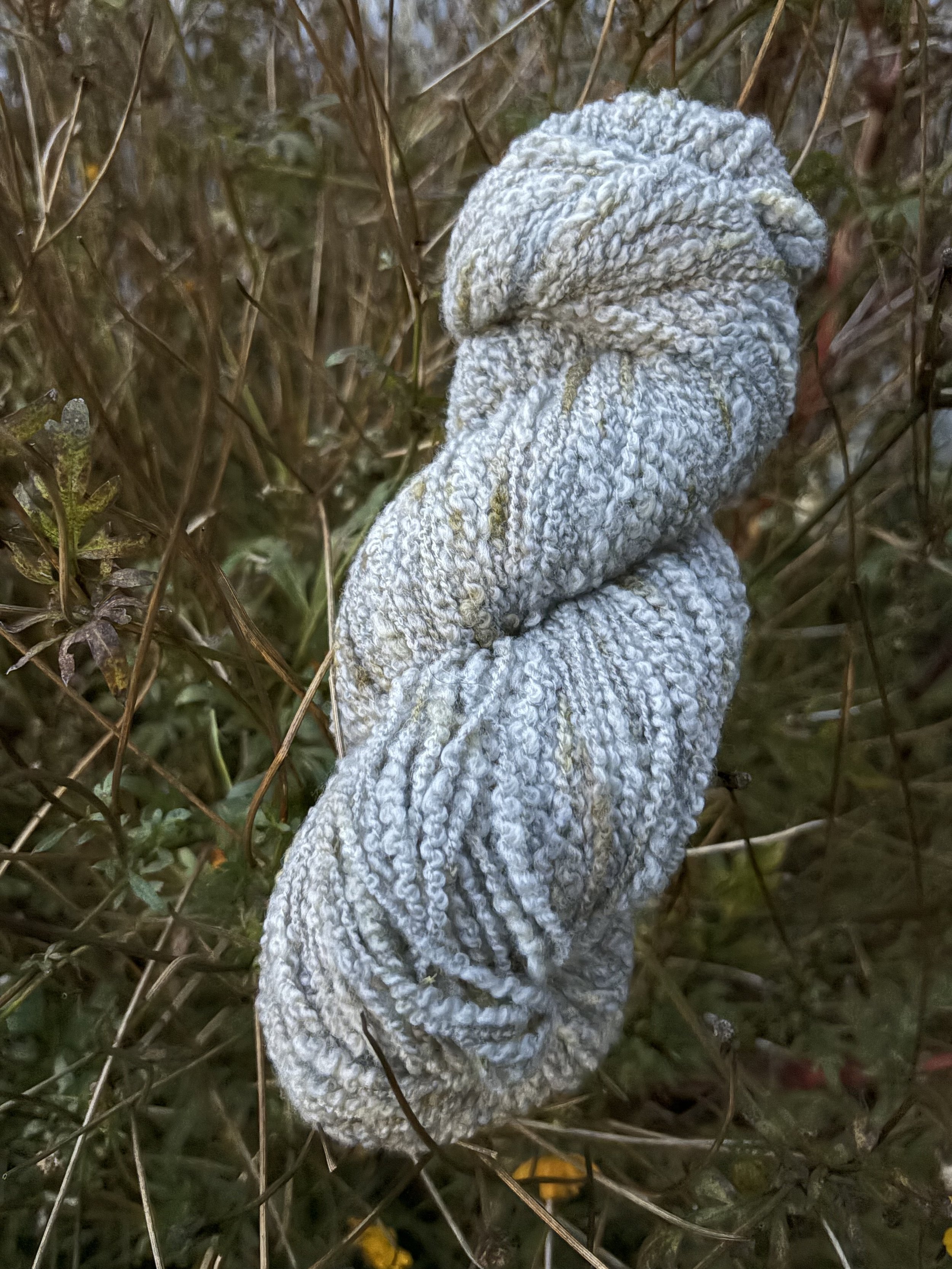 Coreopsis Corpse