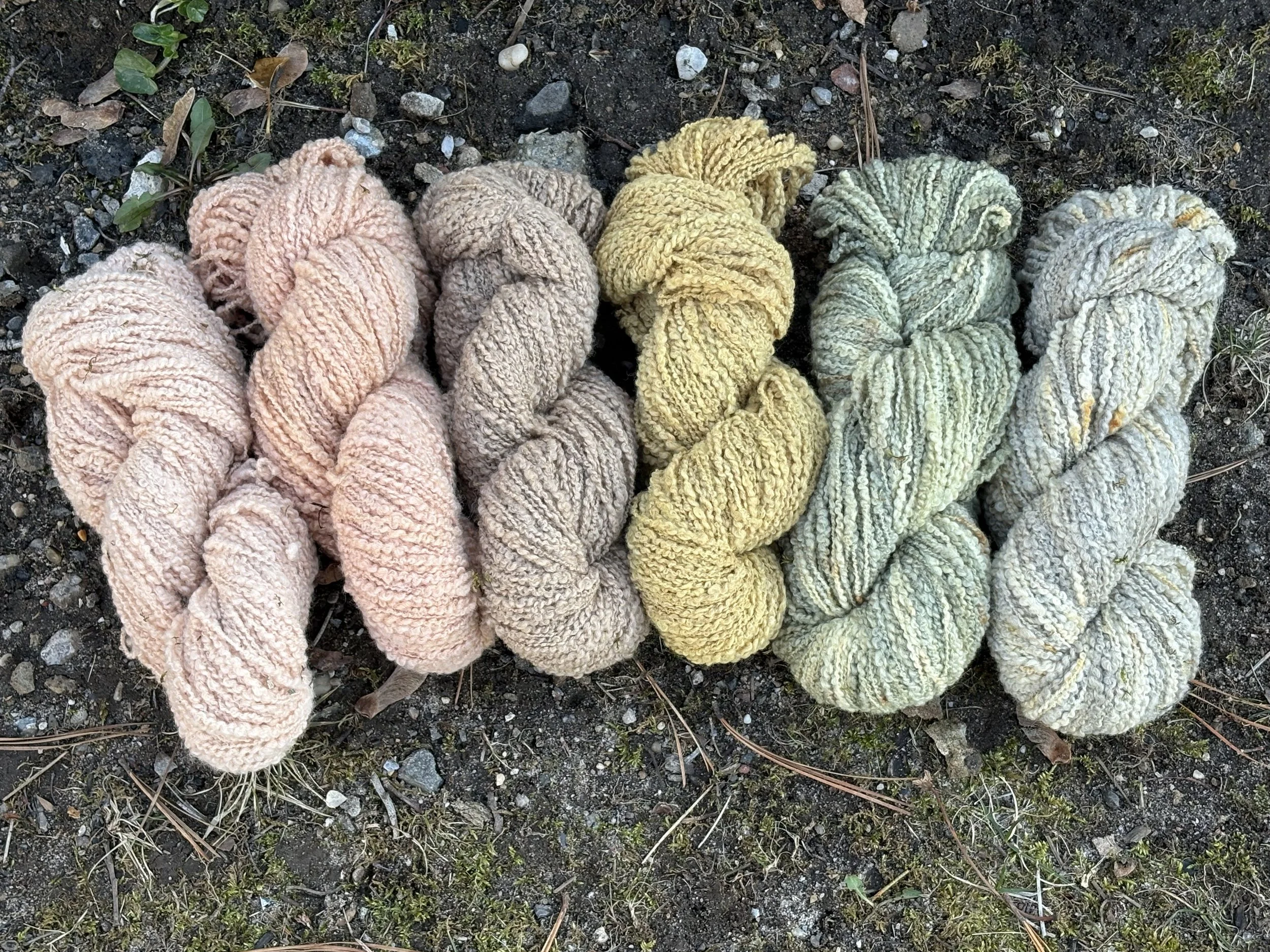 IMG_7140.jpg (Copy) (Copy) (Copy) (Copy)