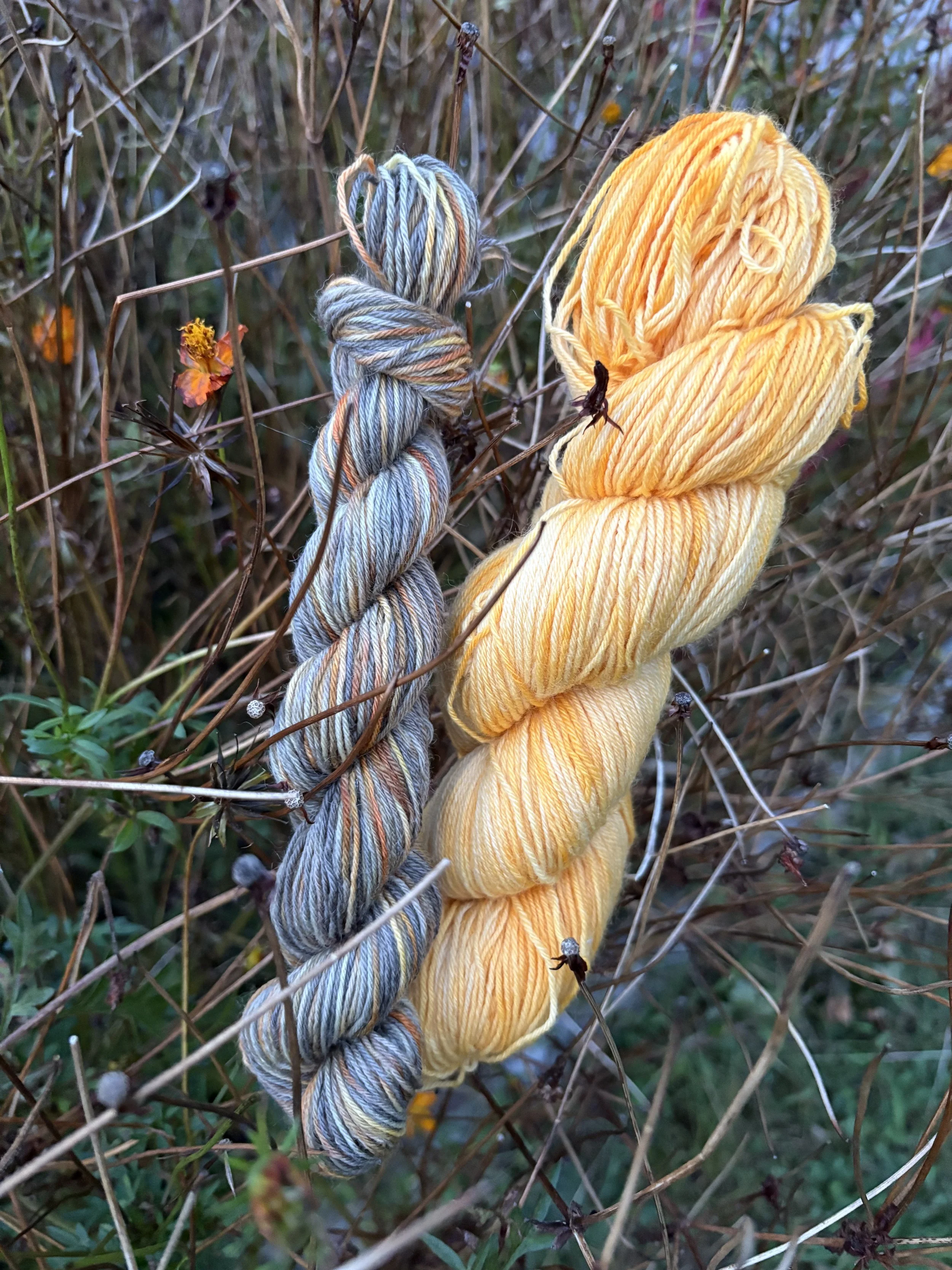 Jack O’Lantern Sock Set