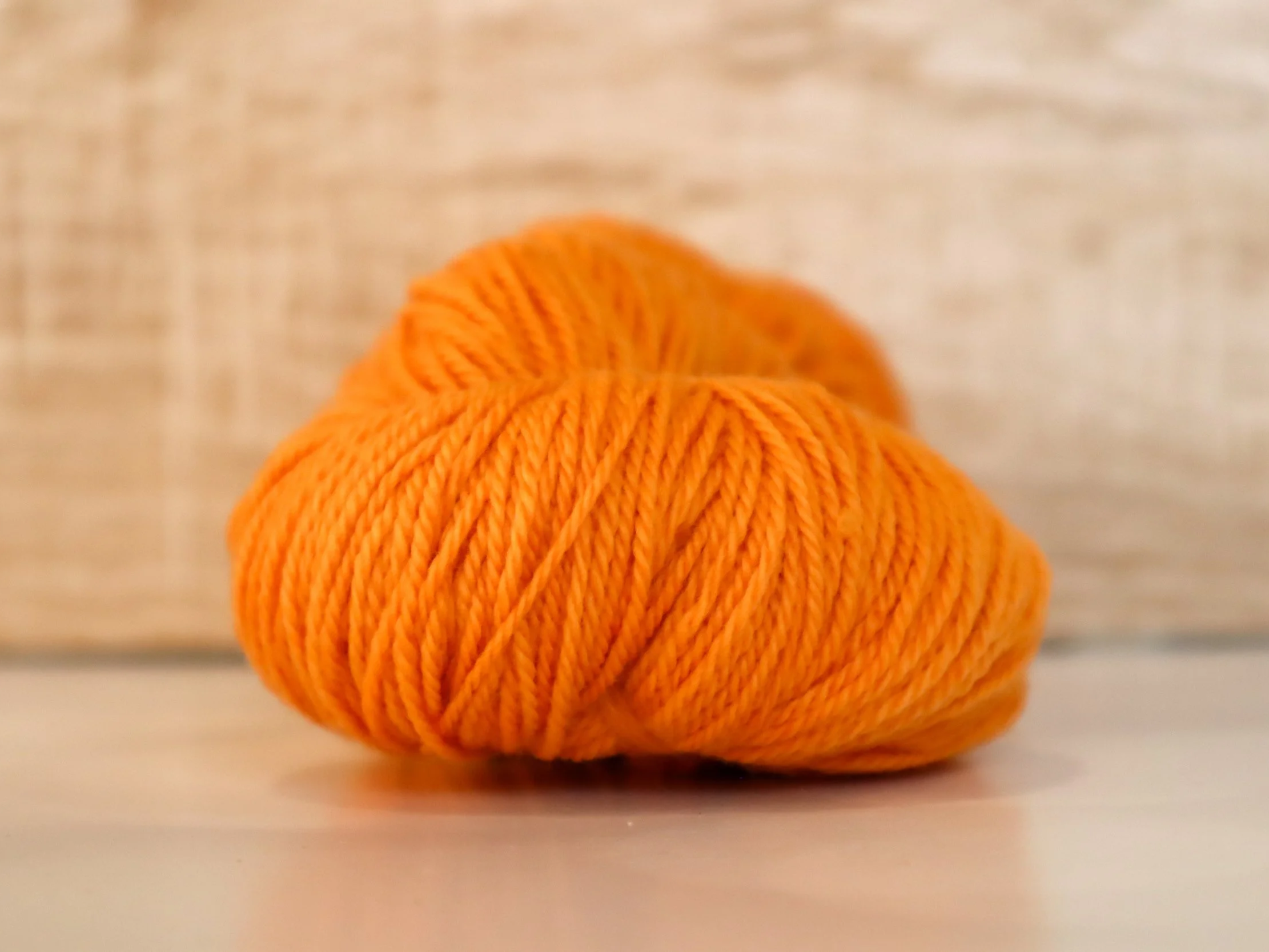 Orange Cosmos