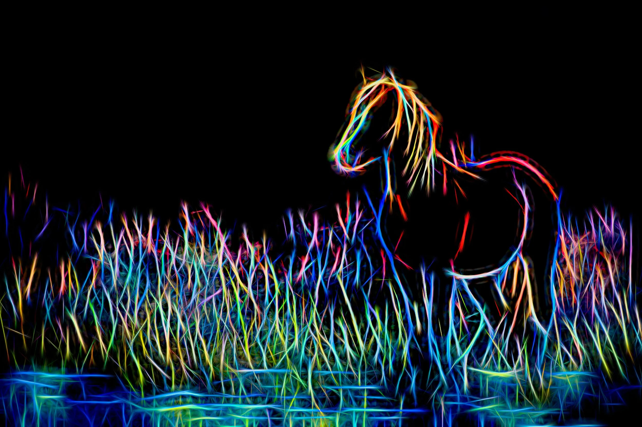 He's Electric (Boogie Woogie Woogie) JRS_3062-Edit.jpg