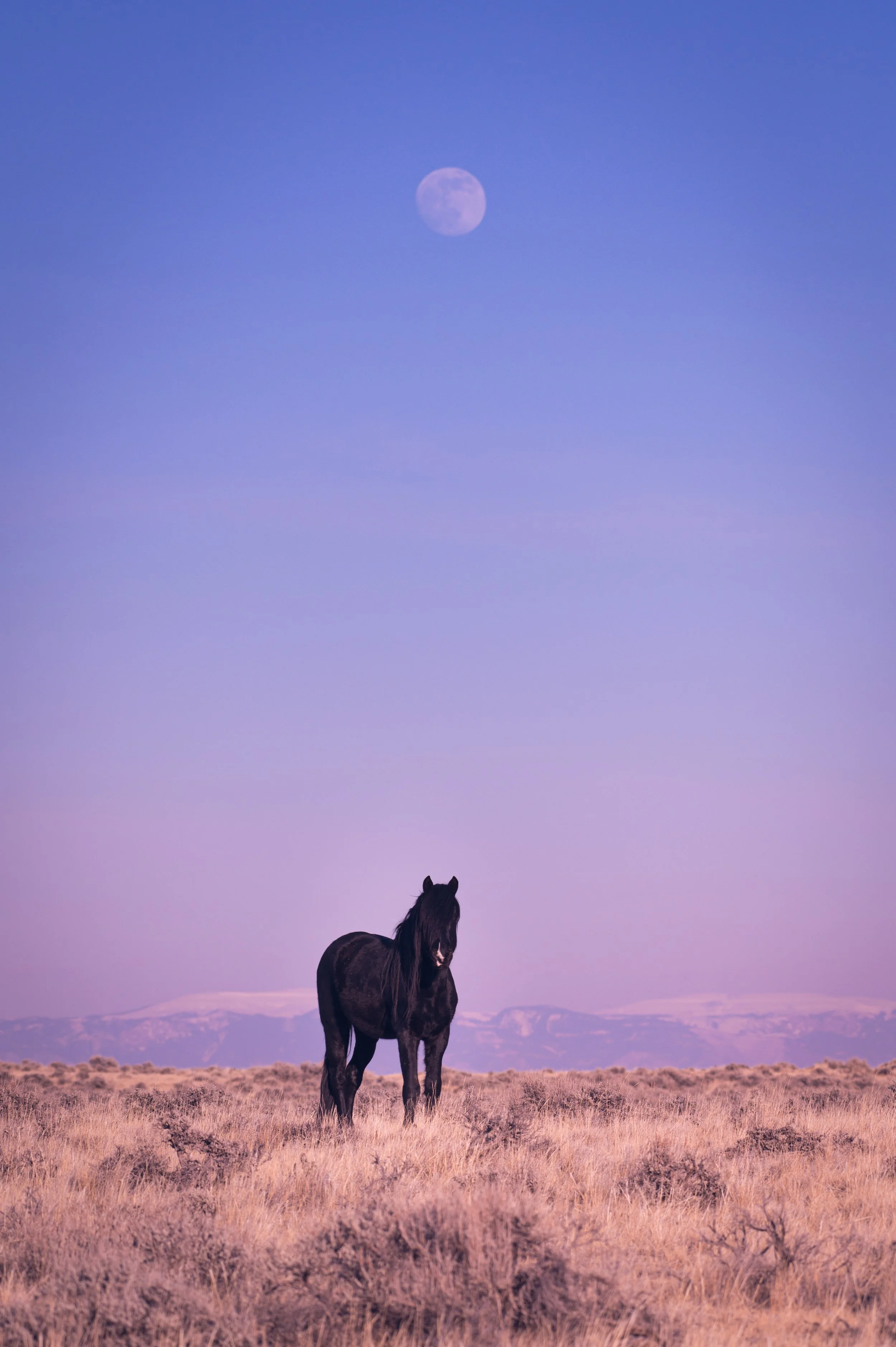 Moon Boy JRS_0961.jpg