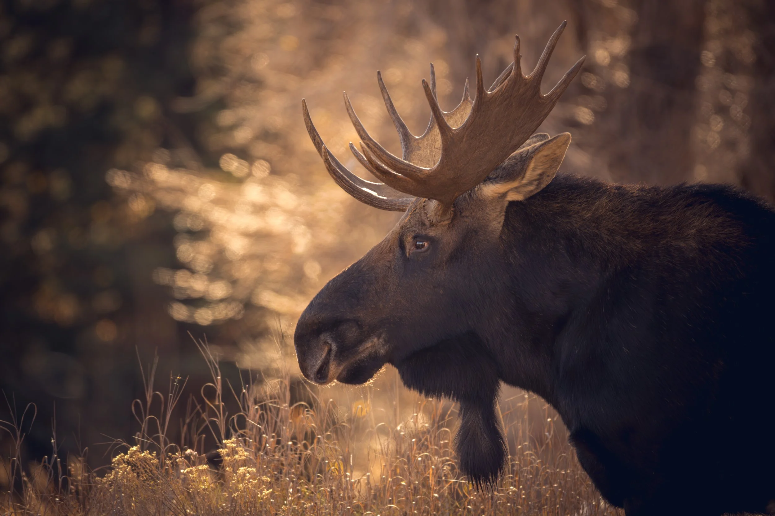 Keeper Of The Quiet Light JRS_3788-3.jpg