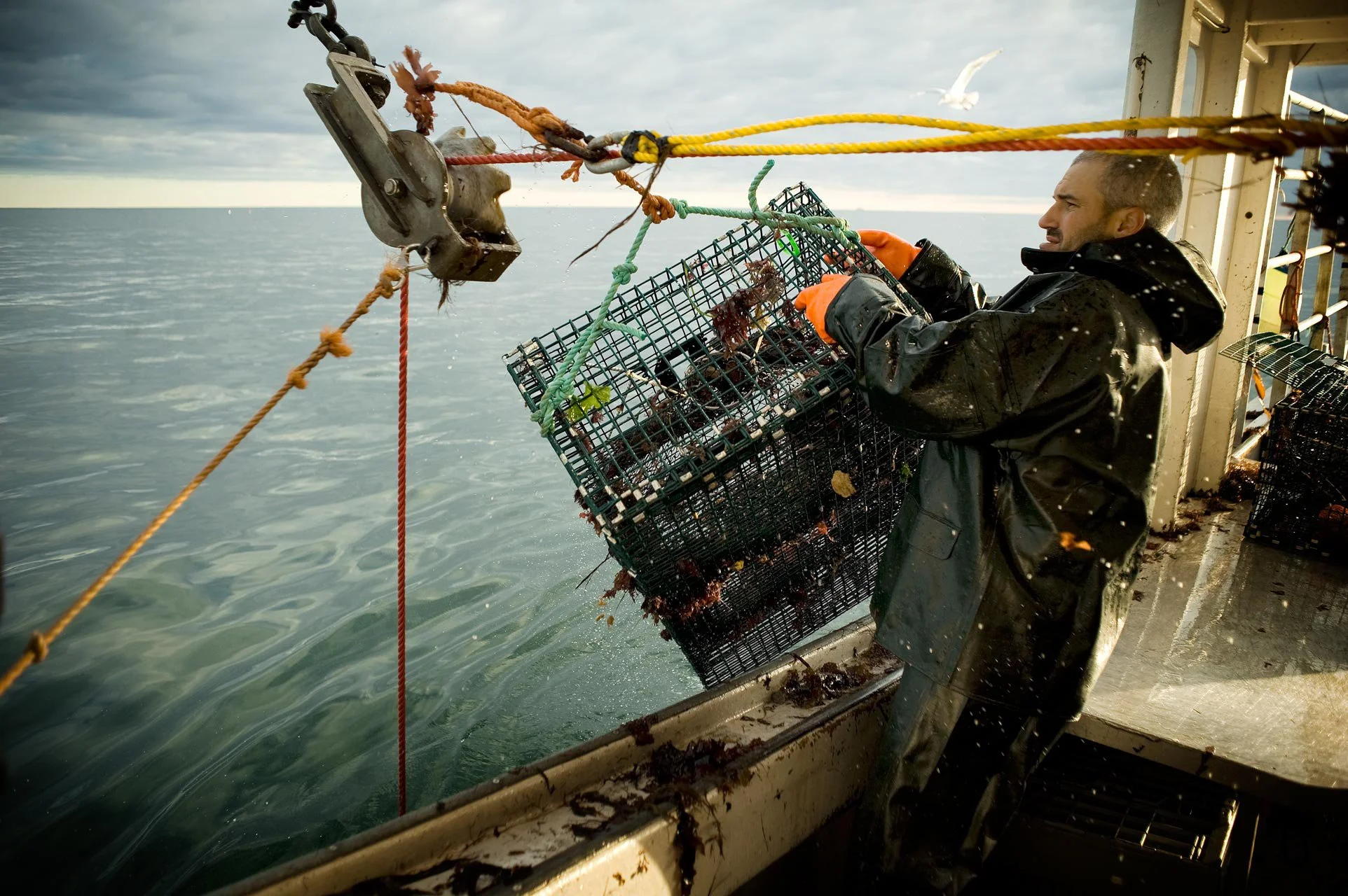 On the trawl.jpg