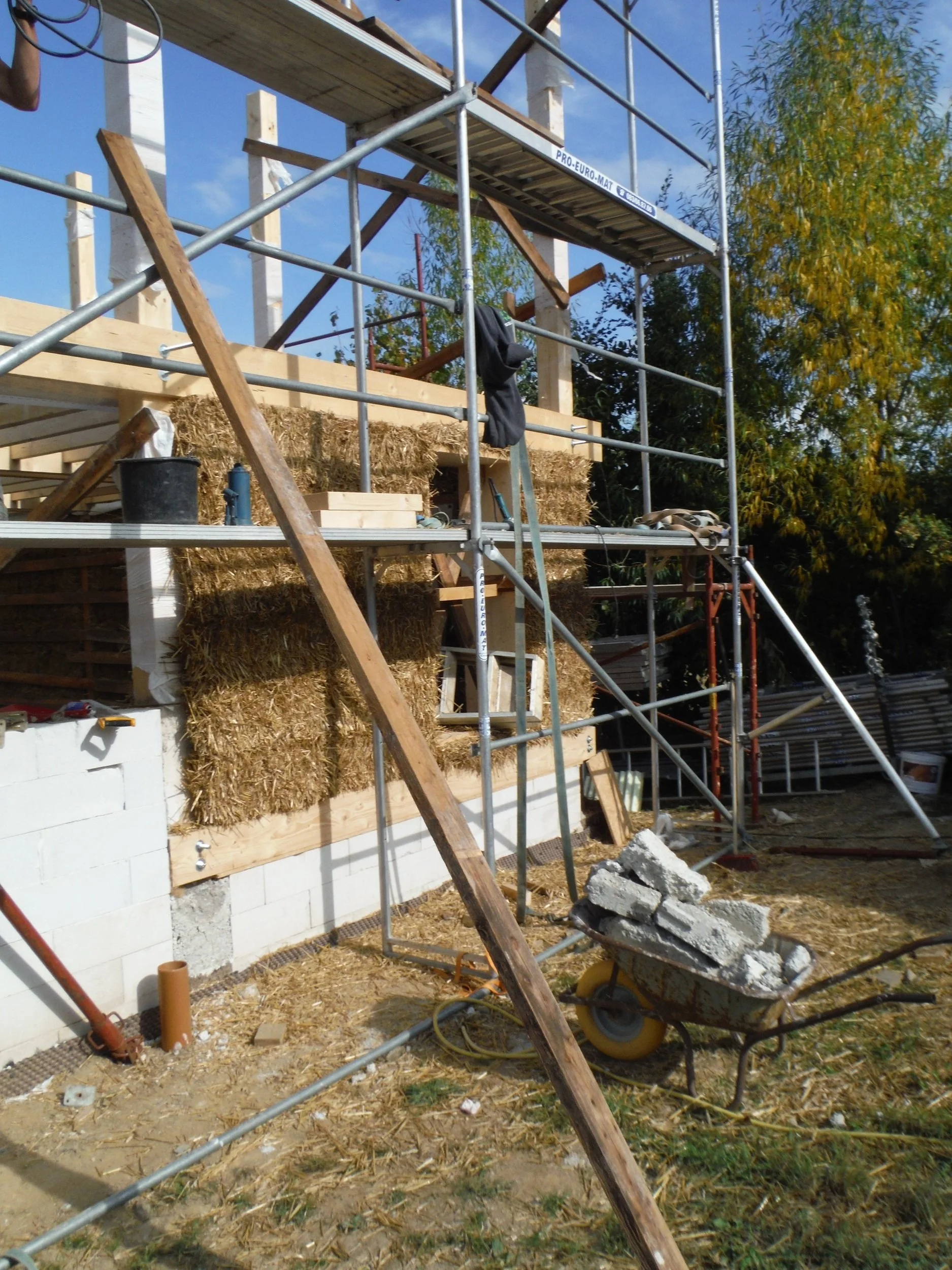 DSCF2164.jpg