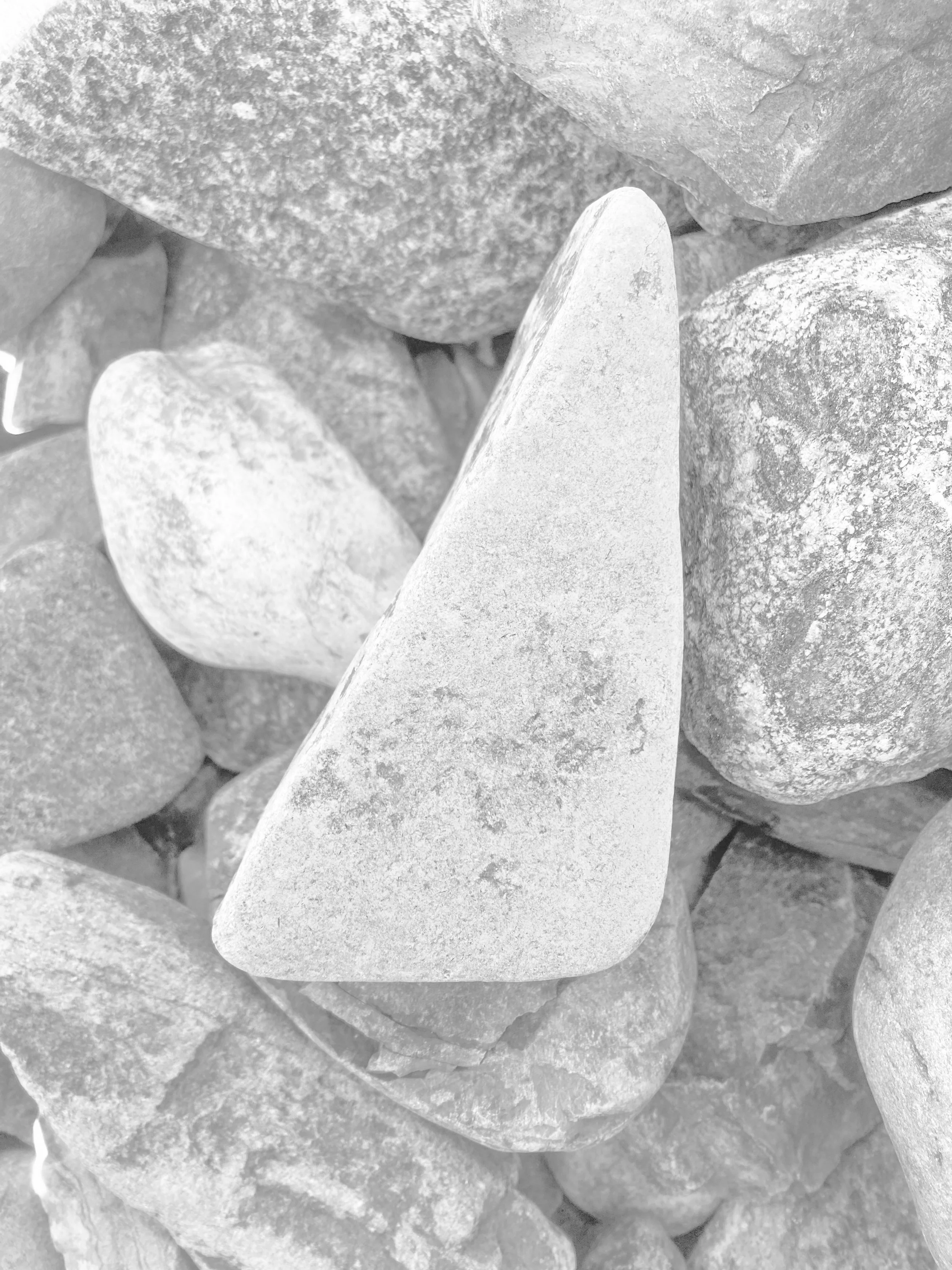 NgElaineK_Rock Portrait -Triangle Rock 2026 (1).jpg