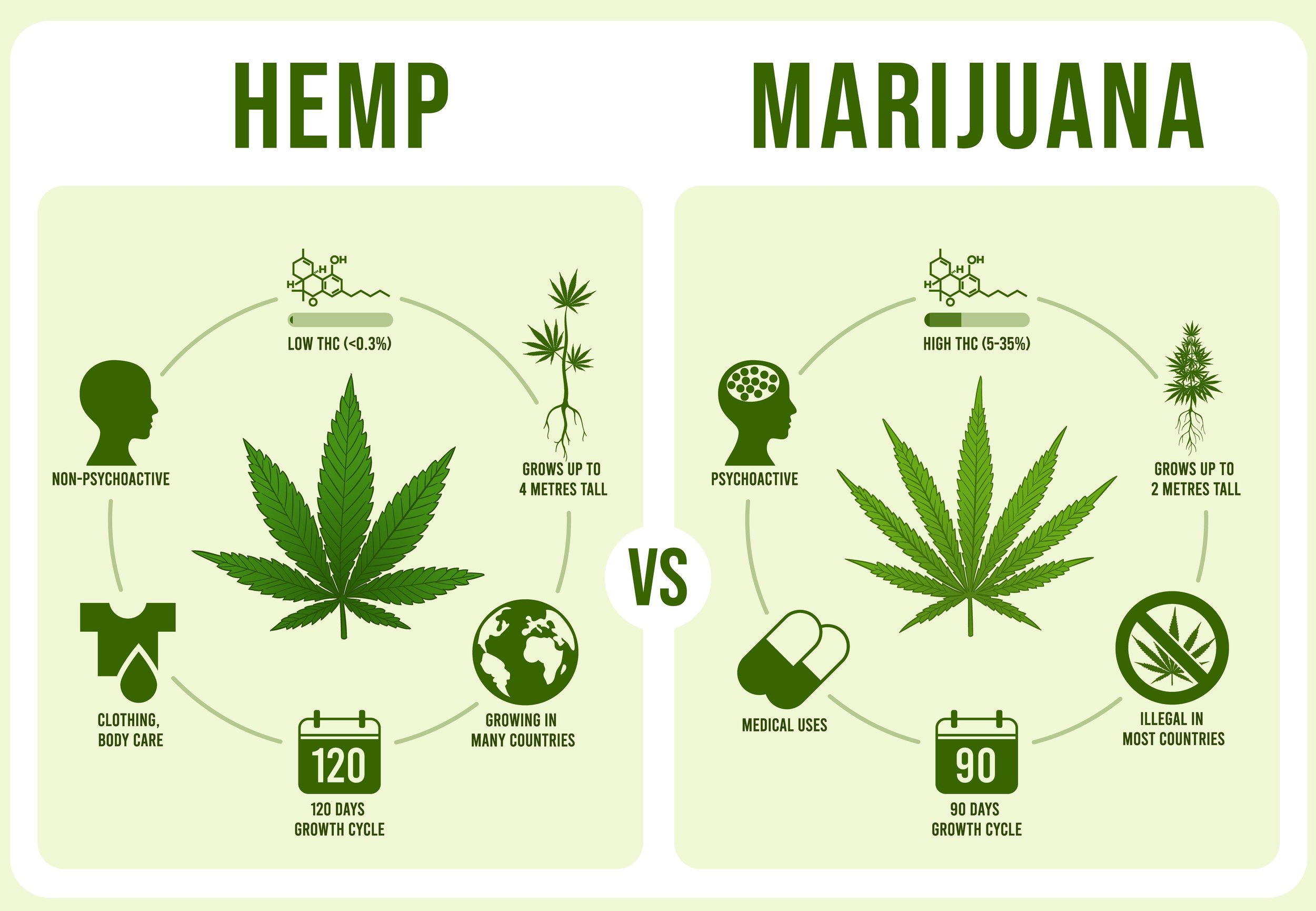 Hemp vs Cannabis