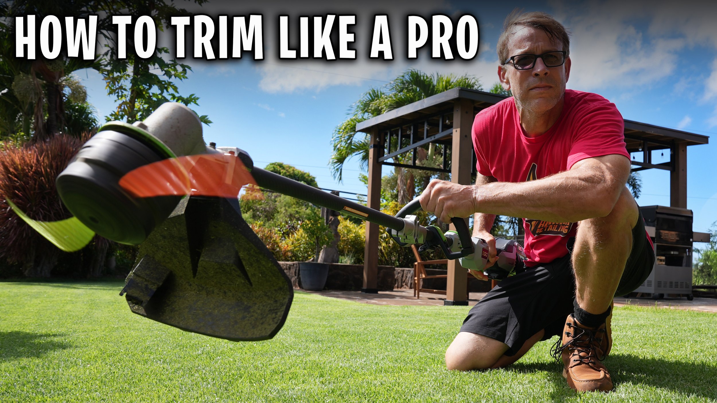 String Trimmer. Everything you need to know — HAWAII DETAILING