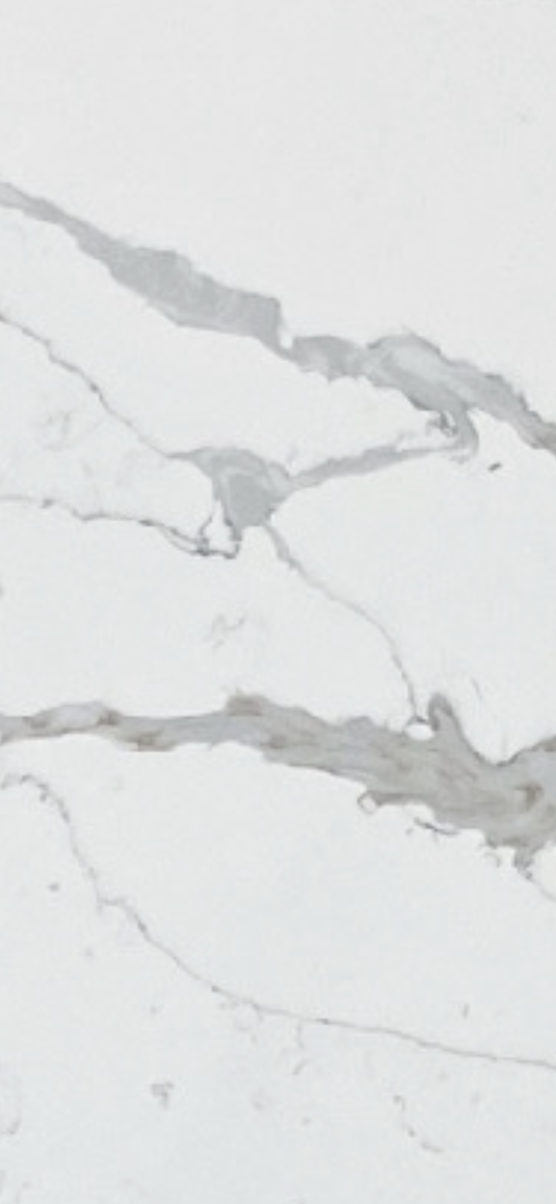 F61F16A1-F702-43CF-A5C0-F15D056AD277.png