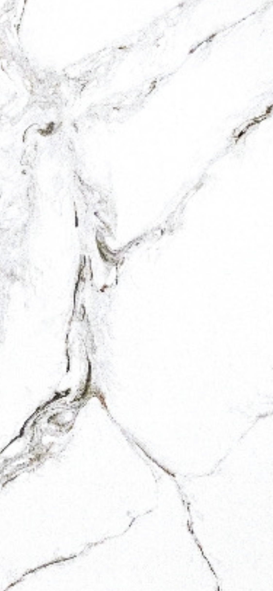 B93EB8F0-3235-4FC1-B1C5-F3315195A284.png