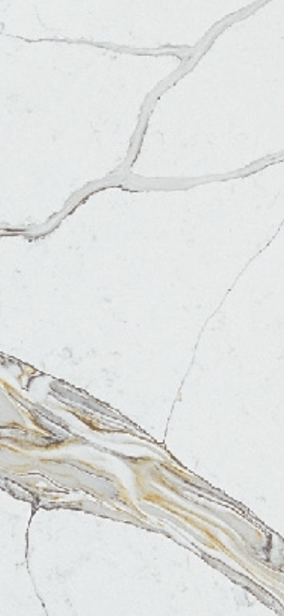 8672026D-1323-4367-B0D8-EDC7764DBC6B.png