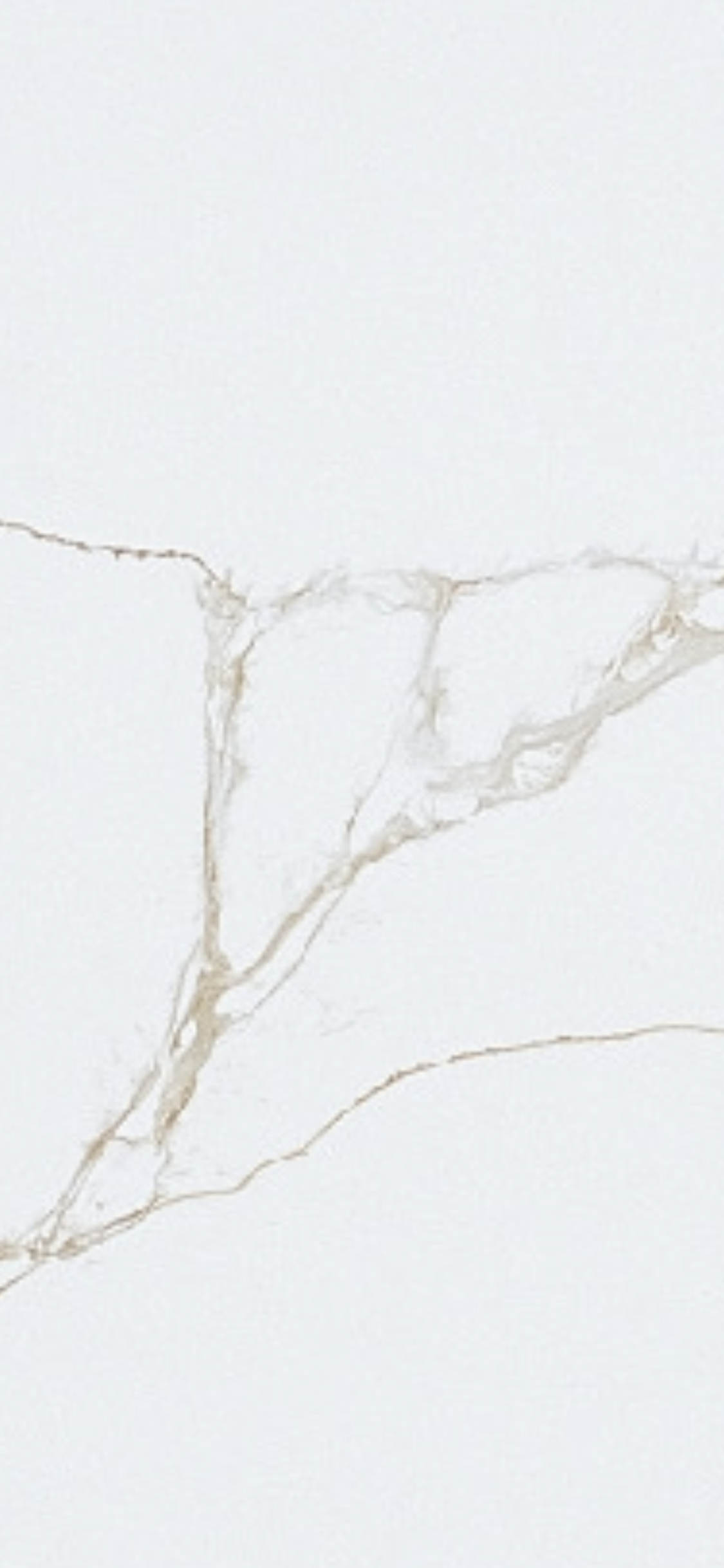 1449E6B6-ED8B-4C55-958A-3DF8295484C1.png