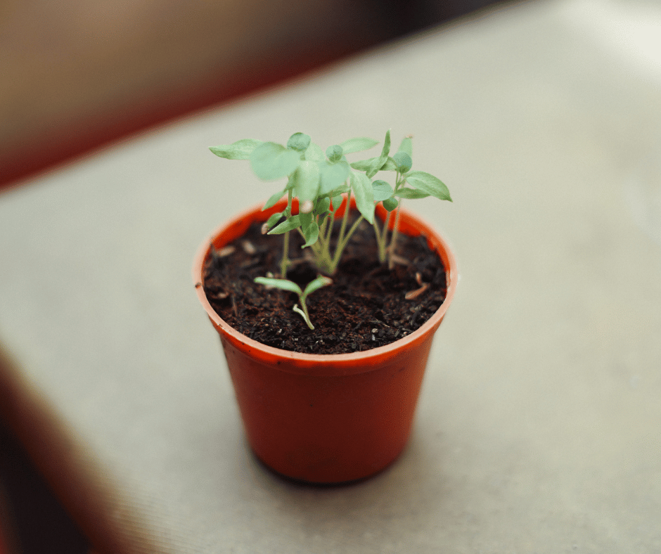 Rediscovering Personal Growth Through Therapy: A Journey Back to Your Inner Child