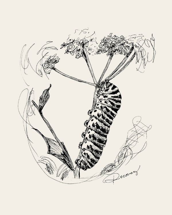 The Race To Recovery