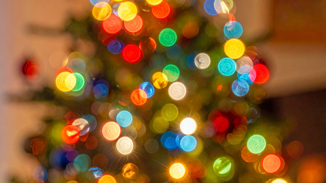 christmas tree out of focus