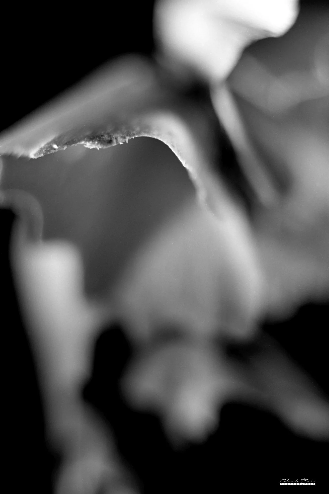 004PS028.jpg