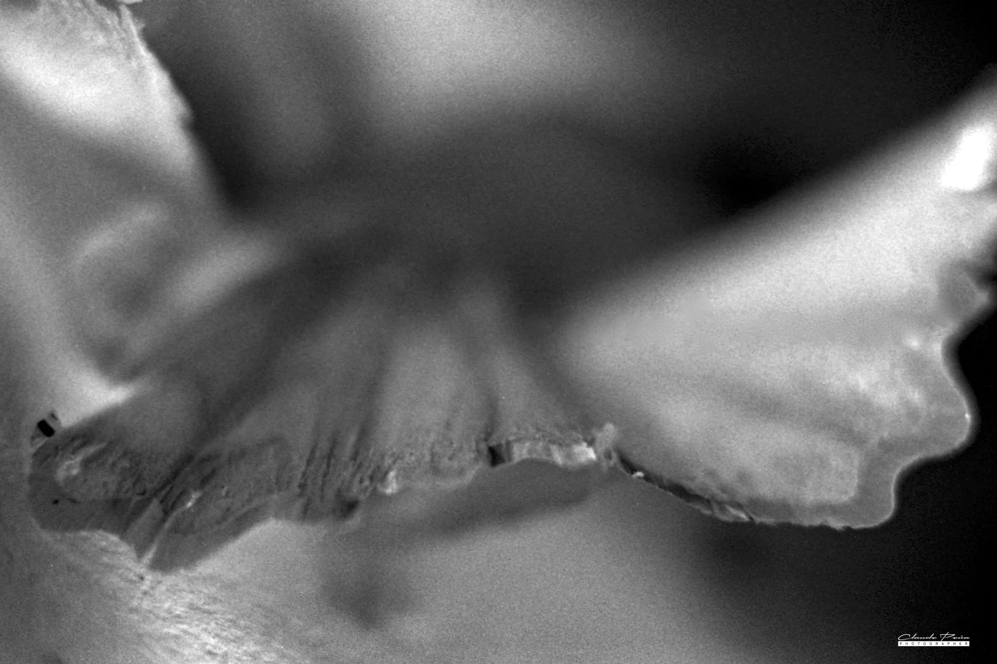 006PS036_2.jpg