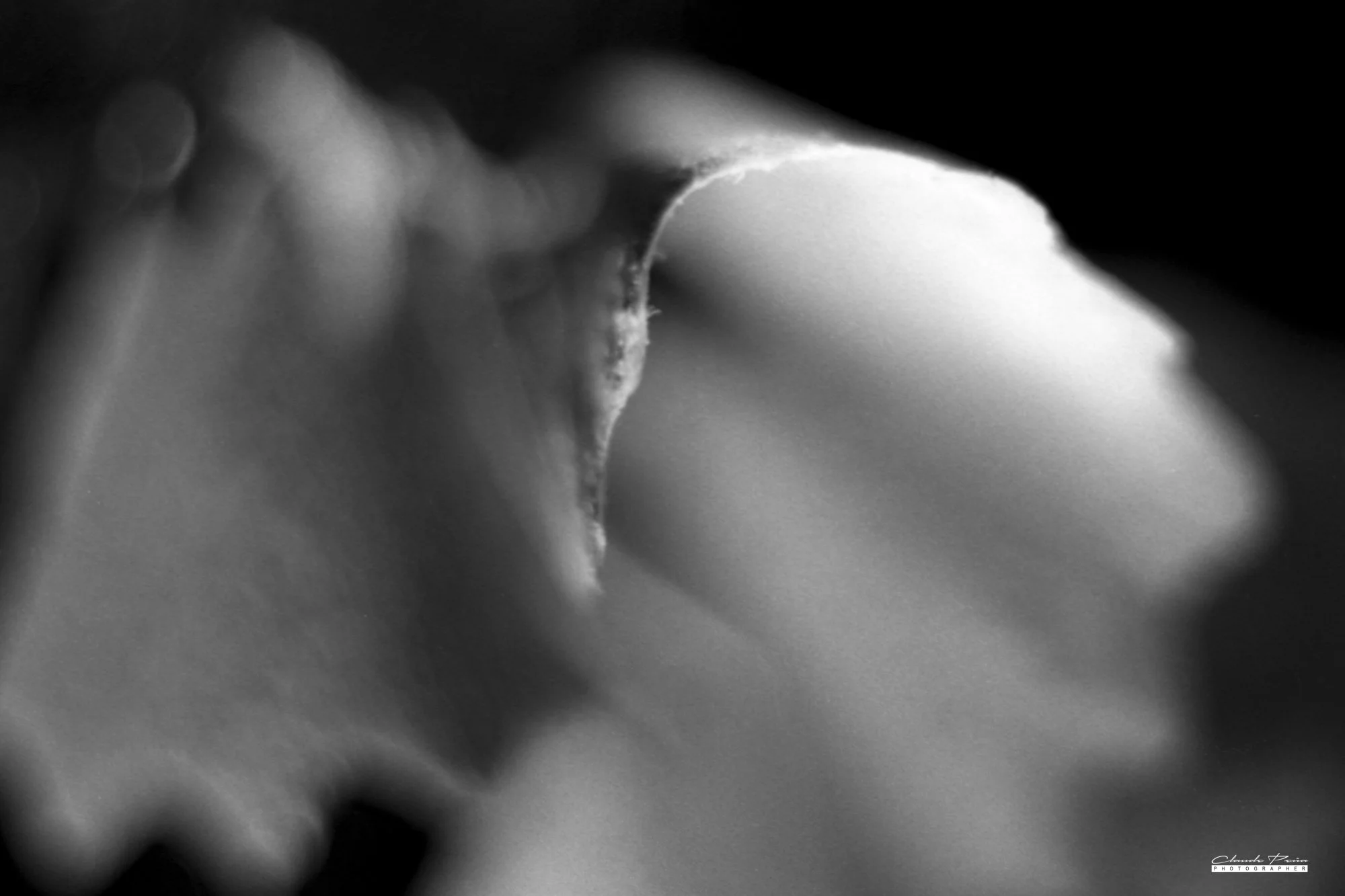 010PS061.jpg