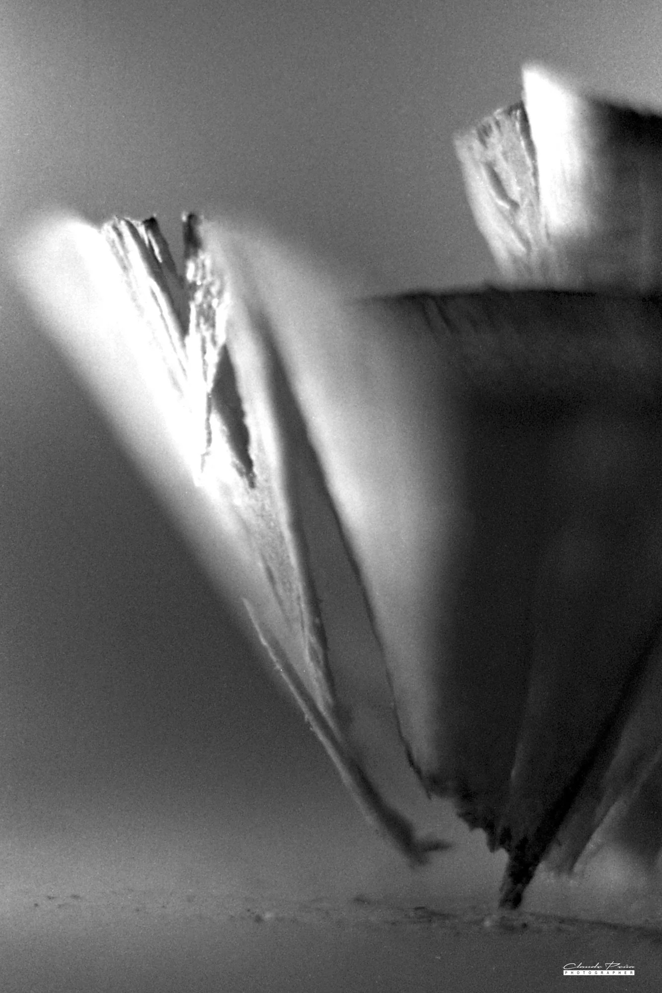020PS025.jpg