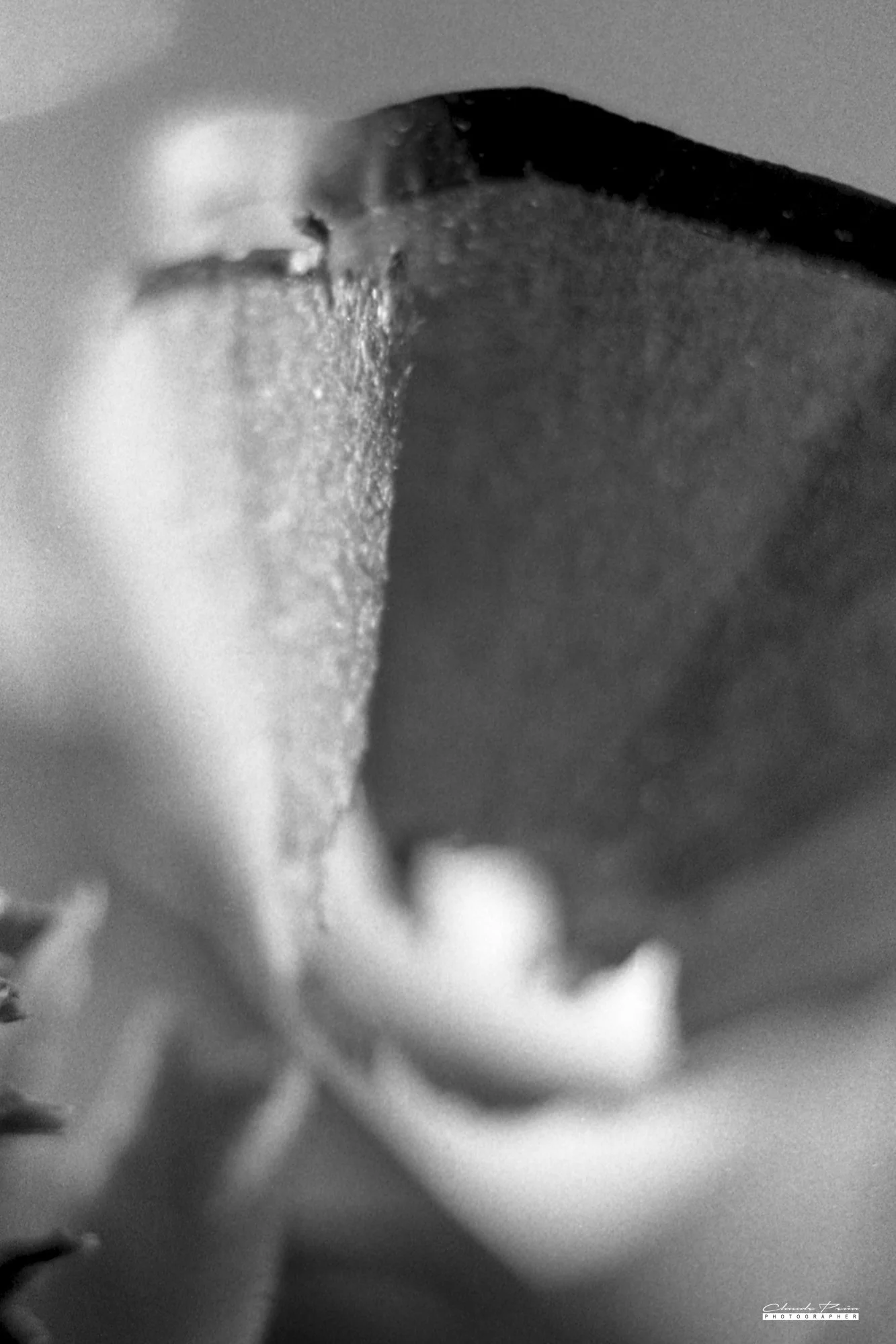 021PS033.jpg