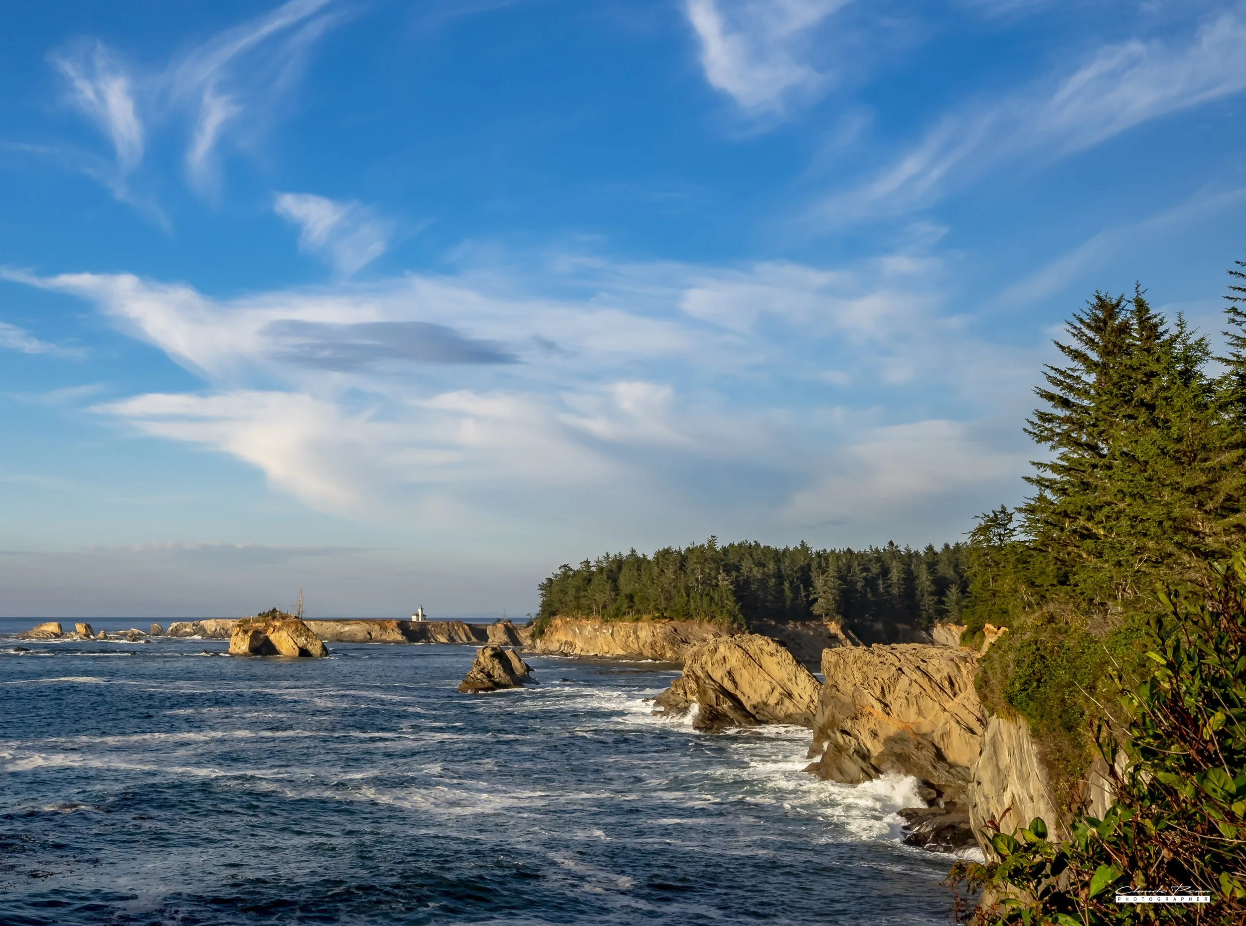 _DSC2959.jpg