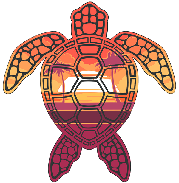 turtle sunset.png