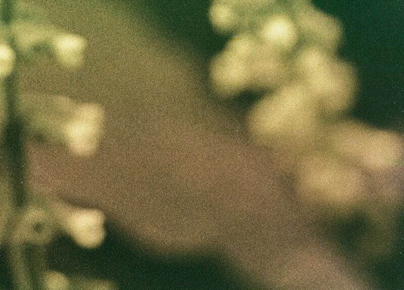 Somatic therapy in Denver and Seattle