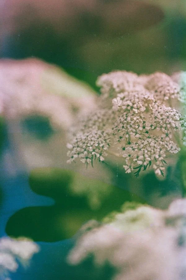 Psilocybin Therapy: What to Expect and Who Benefits