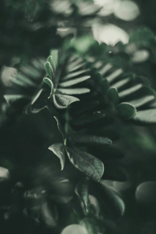 How Ketamine Therapy Relieves Treatment-Resistant Depression