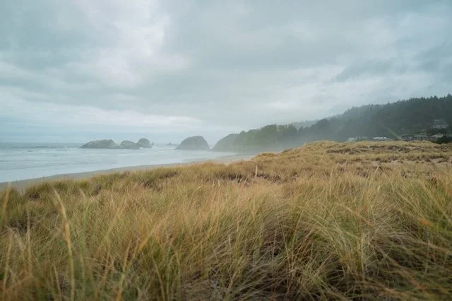 A Somatic Approach to Life's Transitions