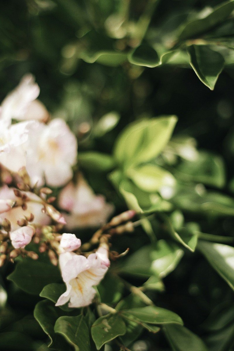 Transformative Healing with Ketamine Therapy and IFS