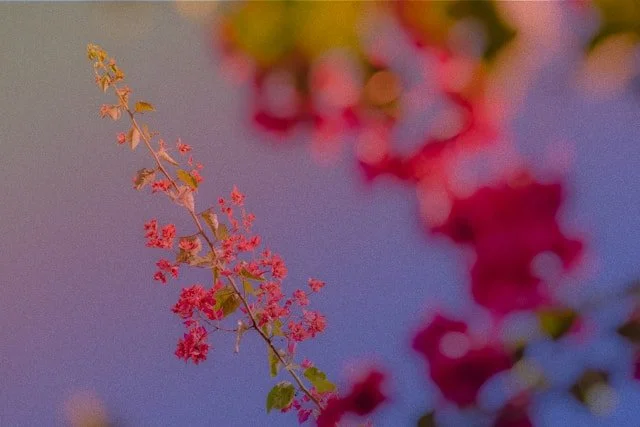 The Power of Somatic Healing in Ketamine Therapy