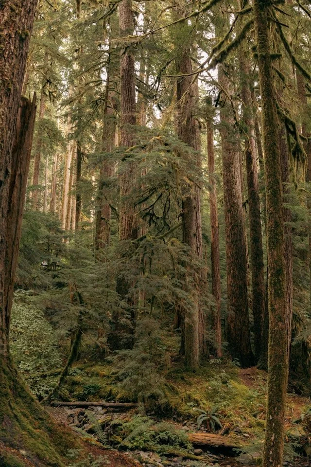 Taking Accountability for a Happier Relationship