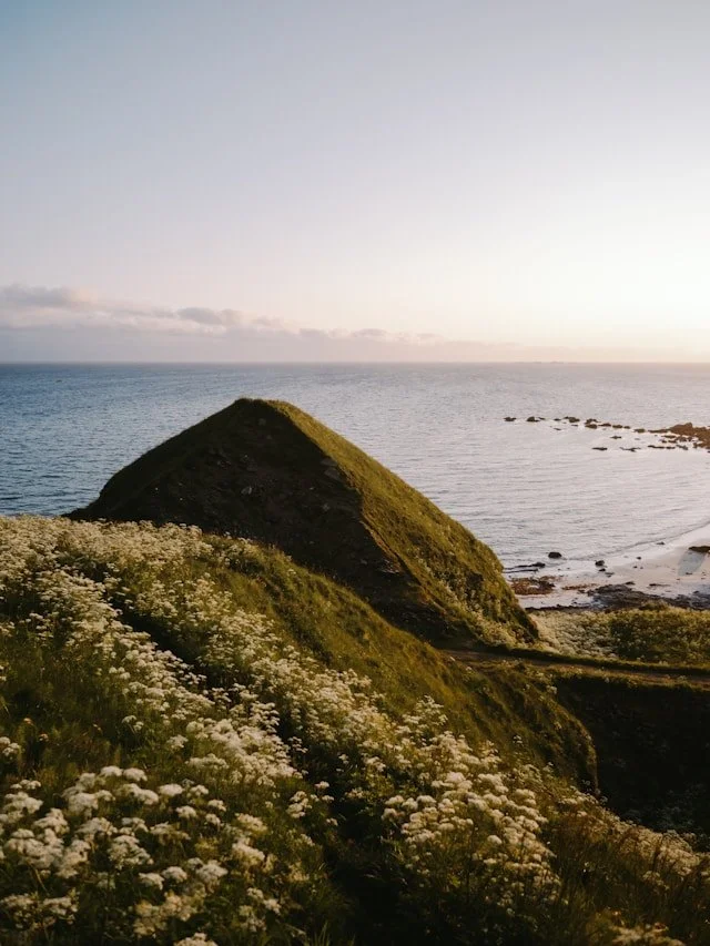 How Somatic Therapies Treat PTSD and Trauma